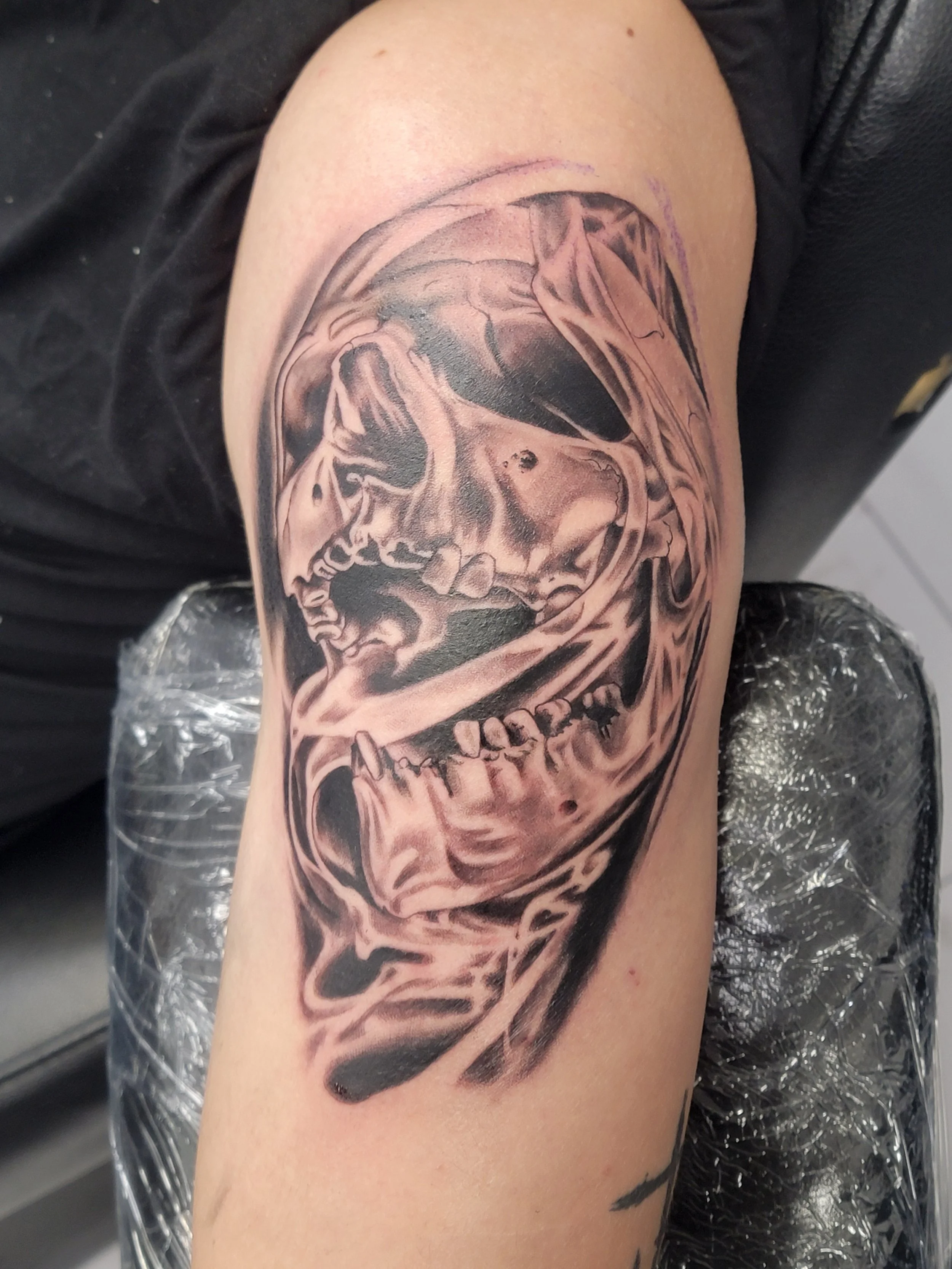 Black and gray tattoo of a detailed skull inside a rounded shape on a person's upper arm.