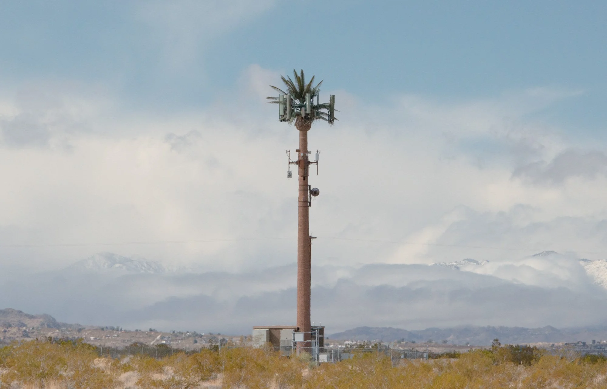 SaraEden_Simulacra-4.jpg