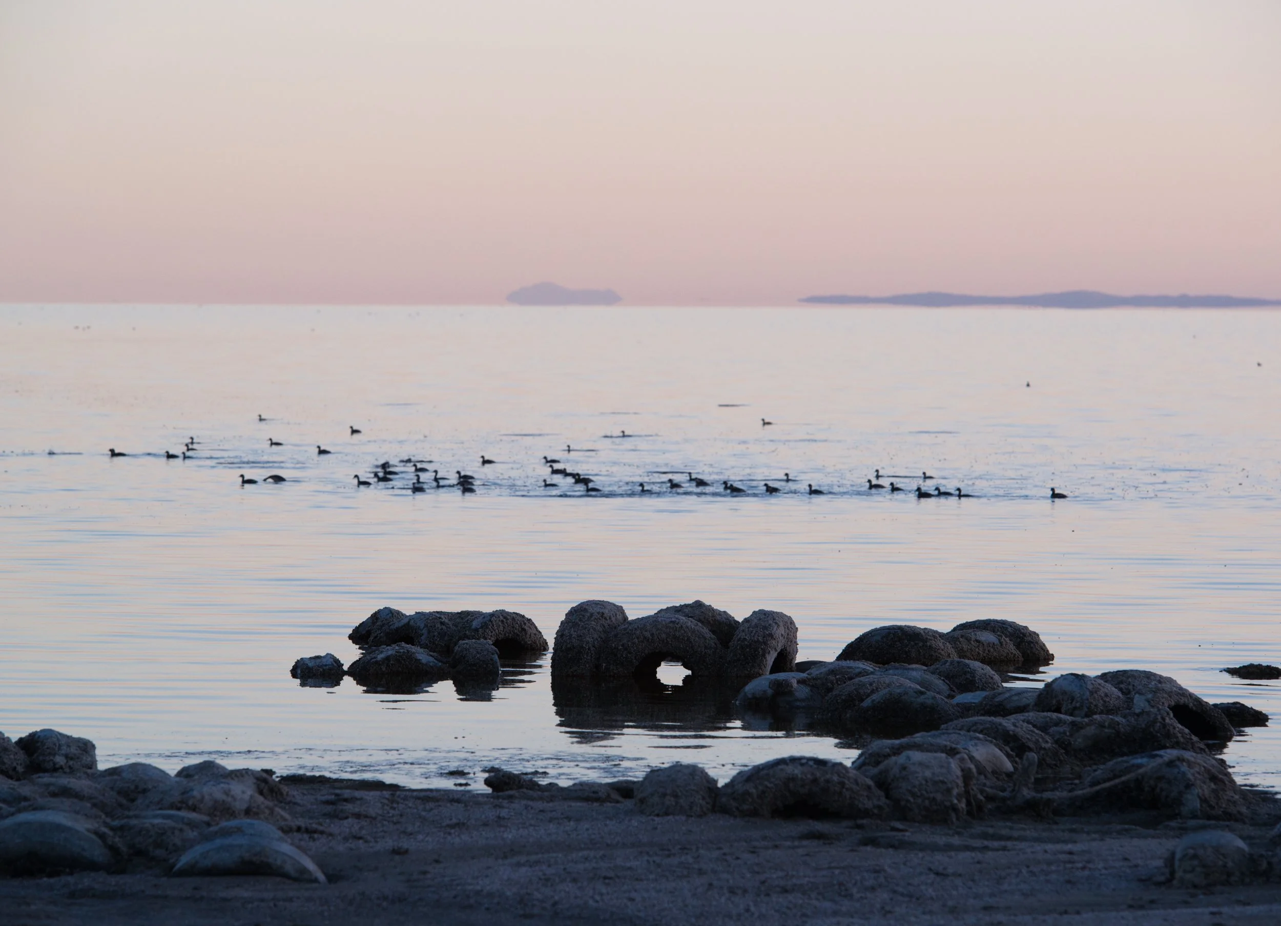 SaraEden_SaltonSea5.jpg