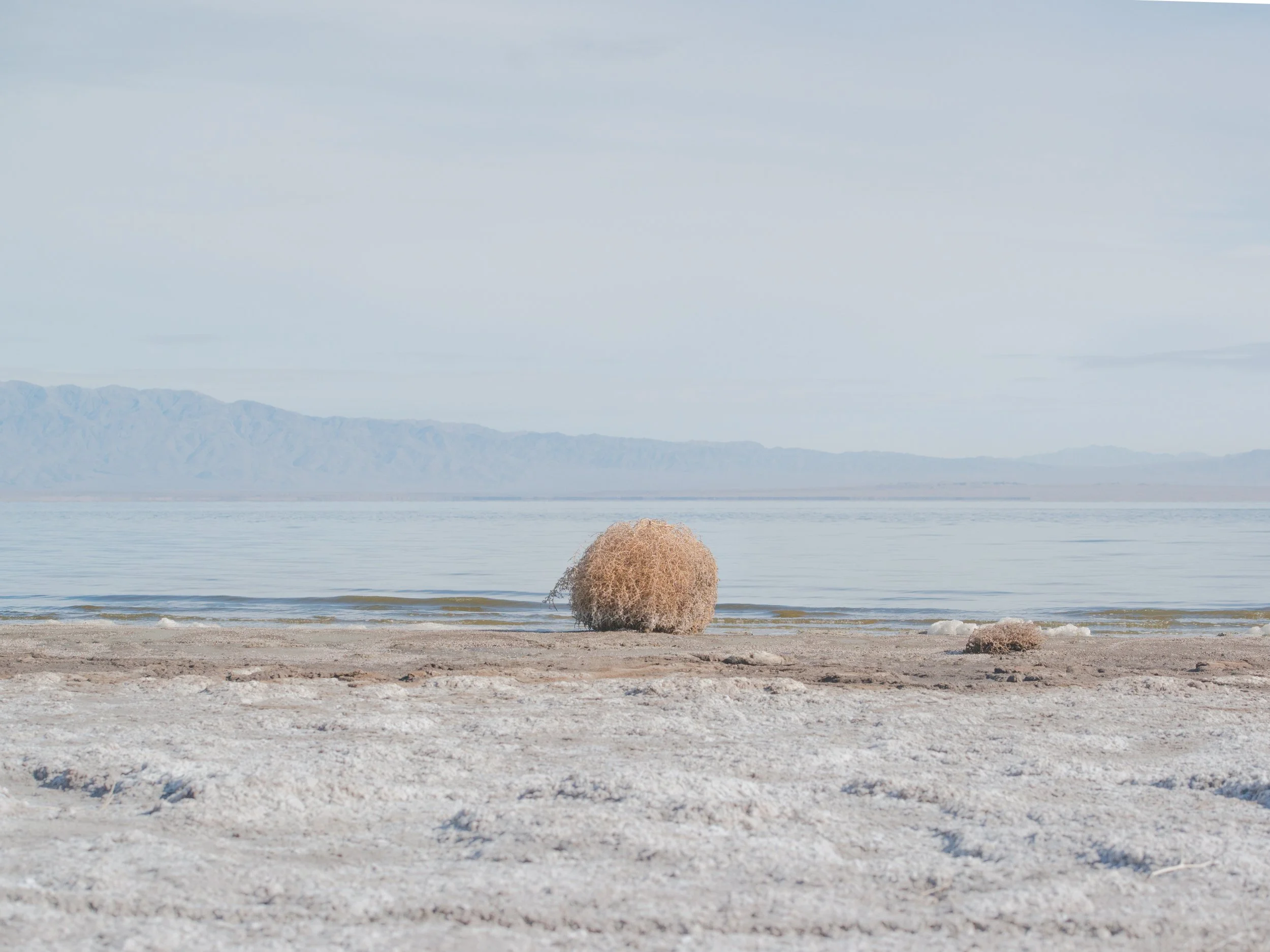 SaraEden_SaltonSea2.jpg