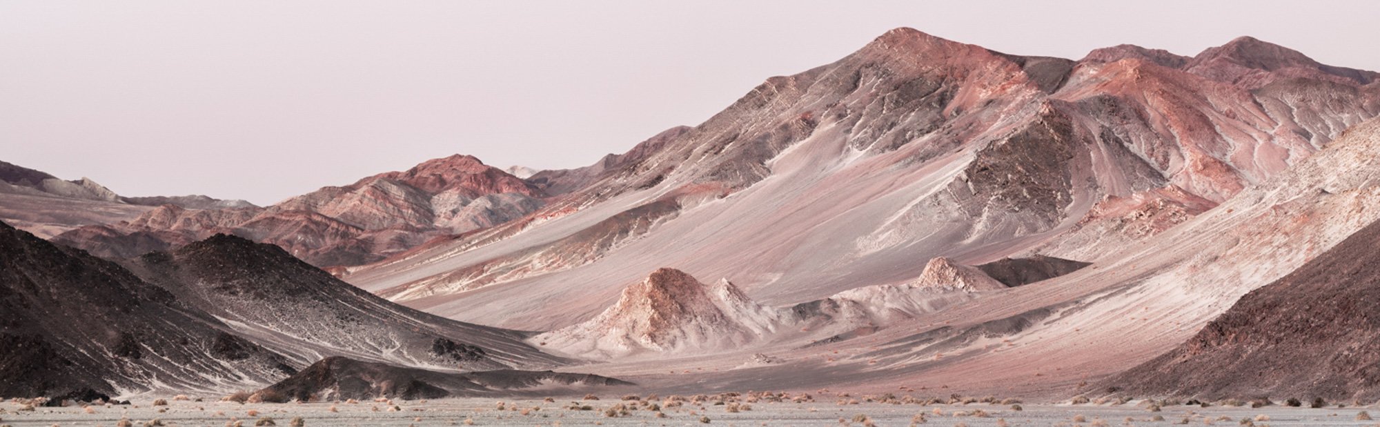 SaraEden-2.jpg