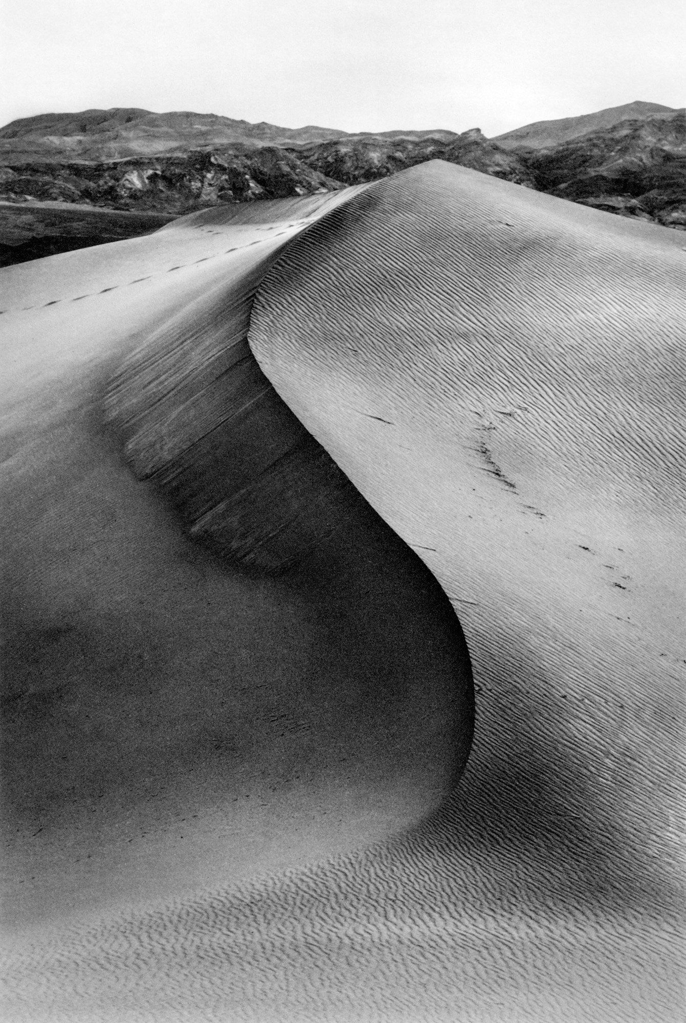 SaraEden-8.jpg