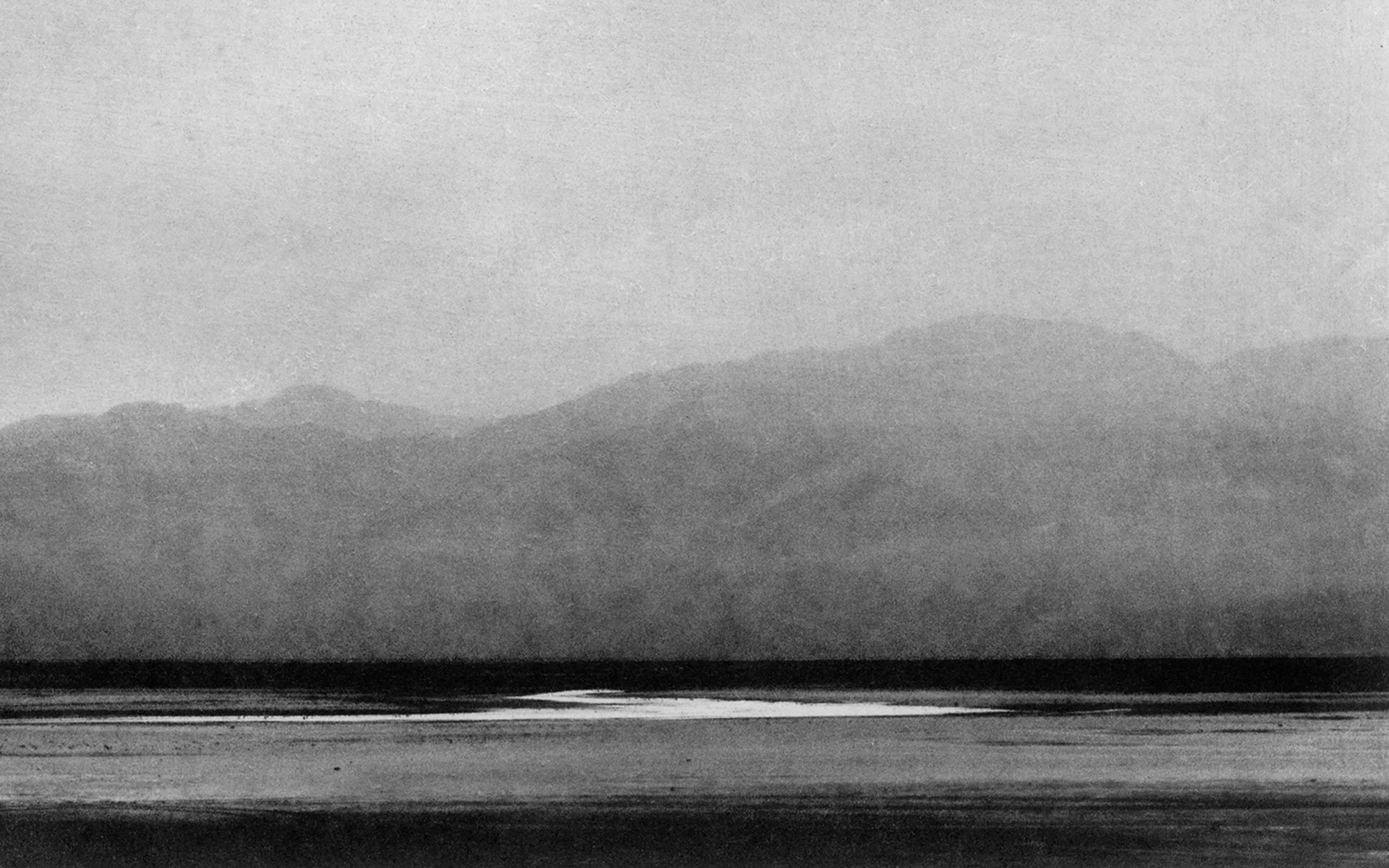 SaraEden-5.jpg