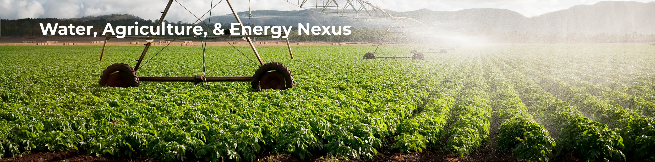 Copy of SYNAPSIUM Website V5.0 (Final)-32.png