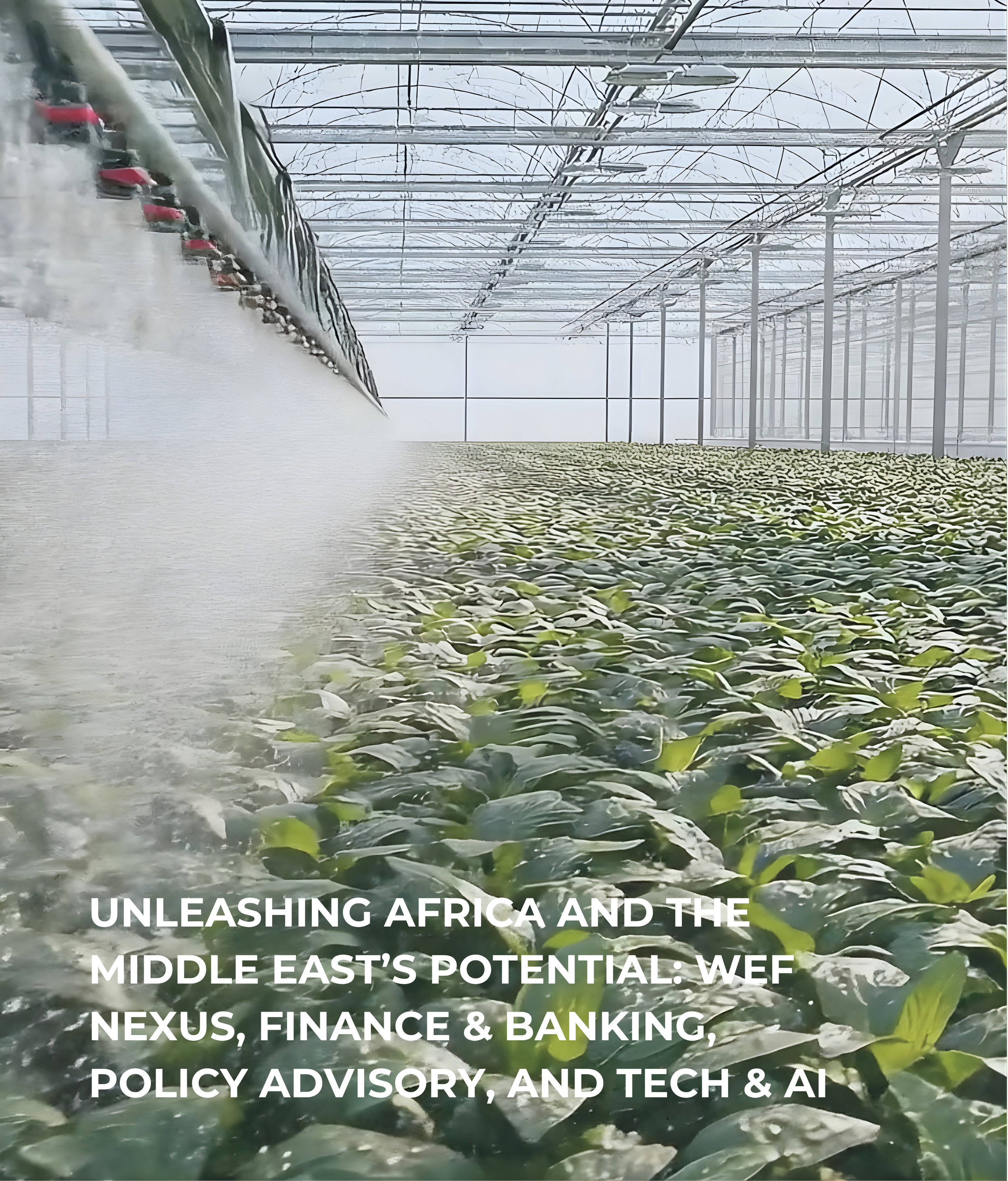 SYNAPSIUM Expertise Area Images-9.png