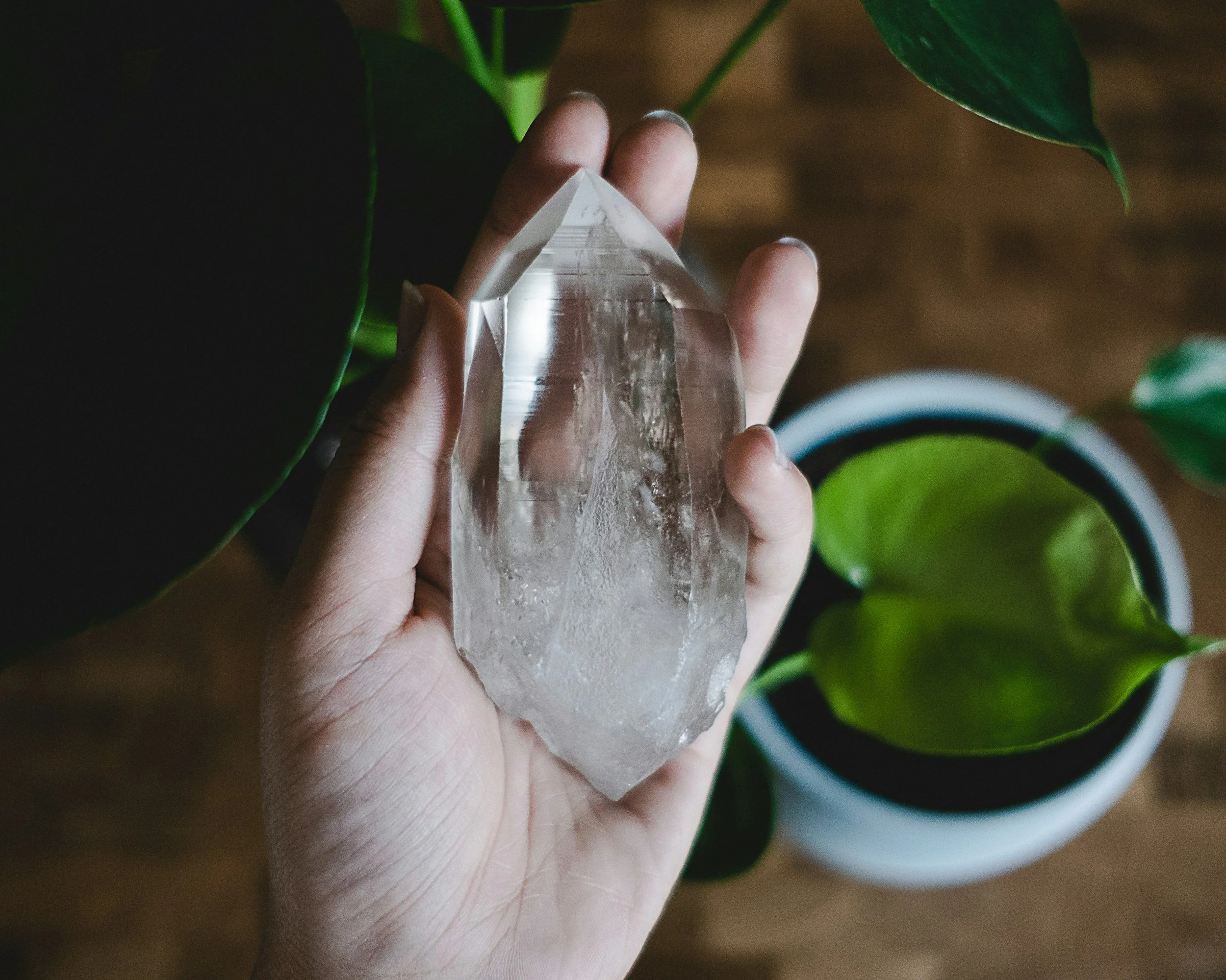 A person's hand holding a large clear quartz crystal with green houseplants in the background.