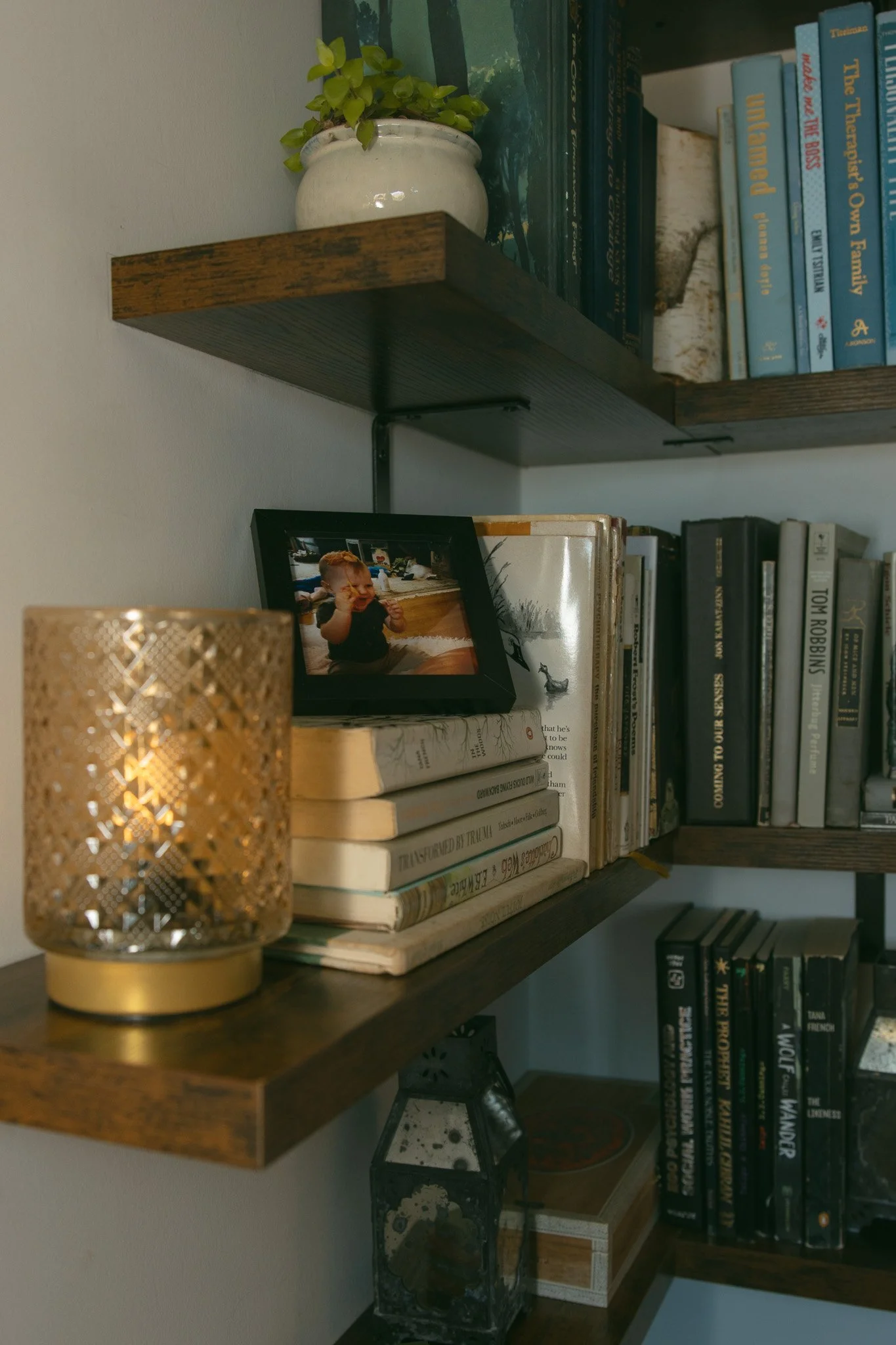 Close-up of a wooden bookshelf with a potted plant, framed photo of a young child in a black shirt, several books, a decorative gold candle holder, and a small black lantern.