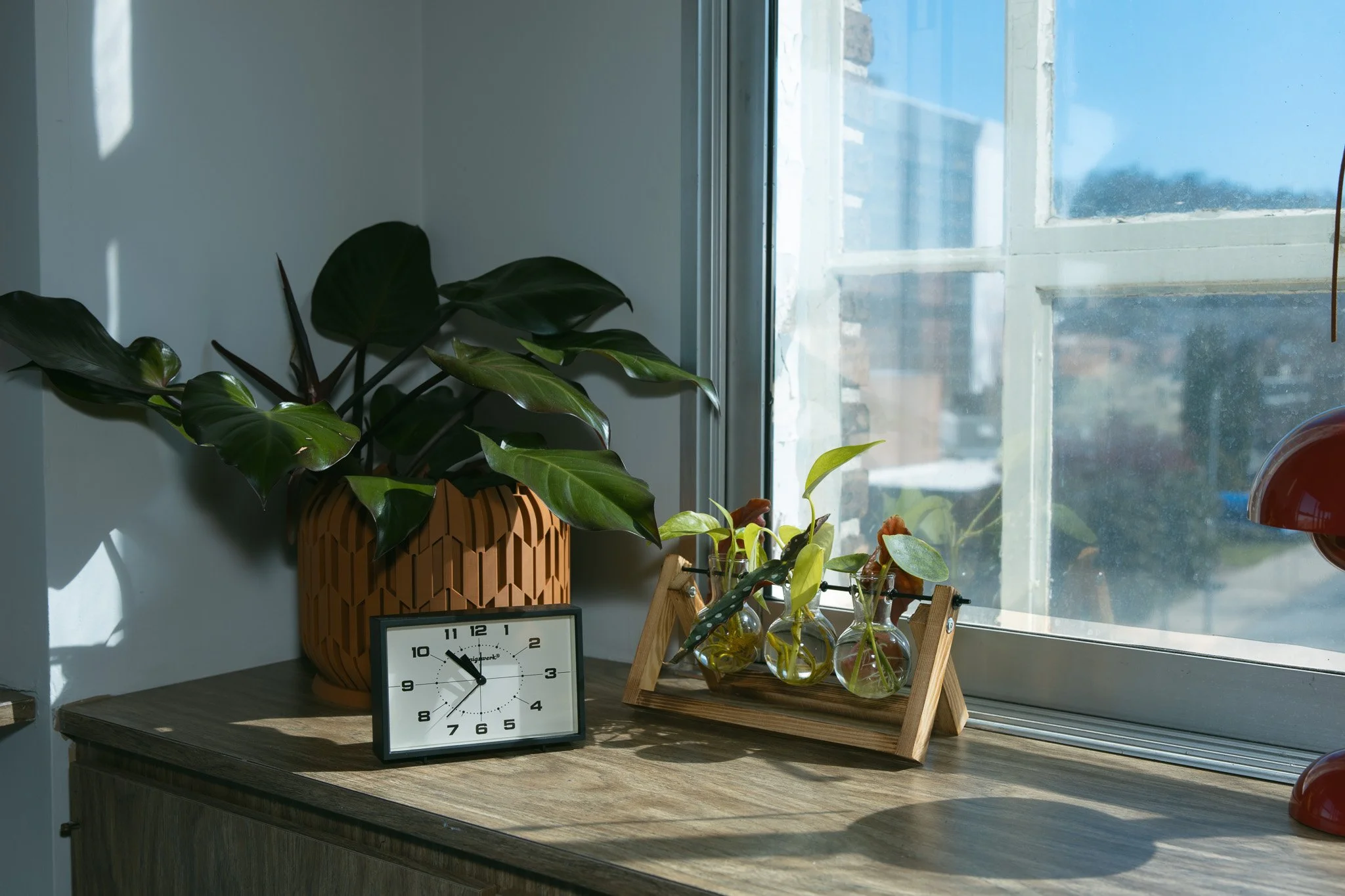 Indoor windowsill with a large green potted plant, a black analog clock showing 10:53, and three small glass vases with plants on a wooden surface, sunlight streaming through the window.
