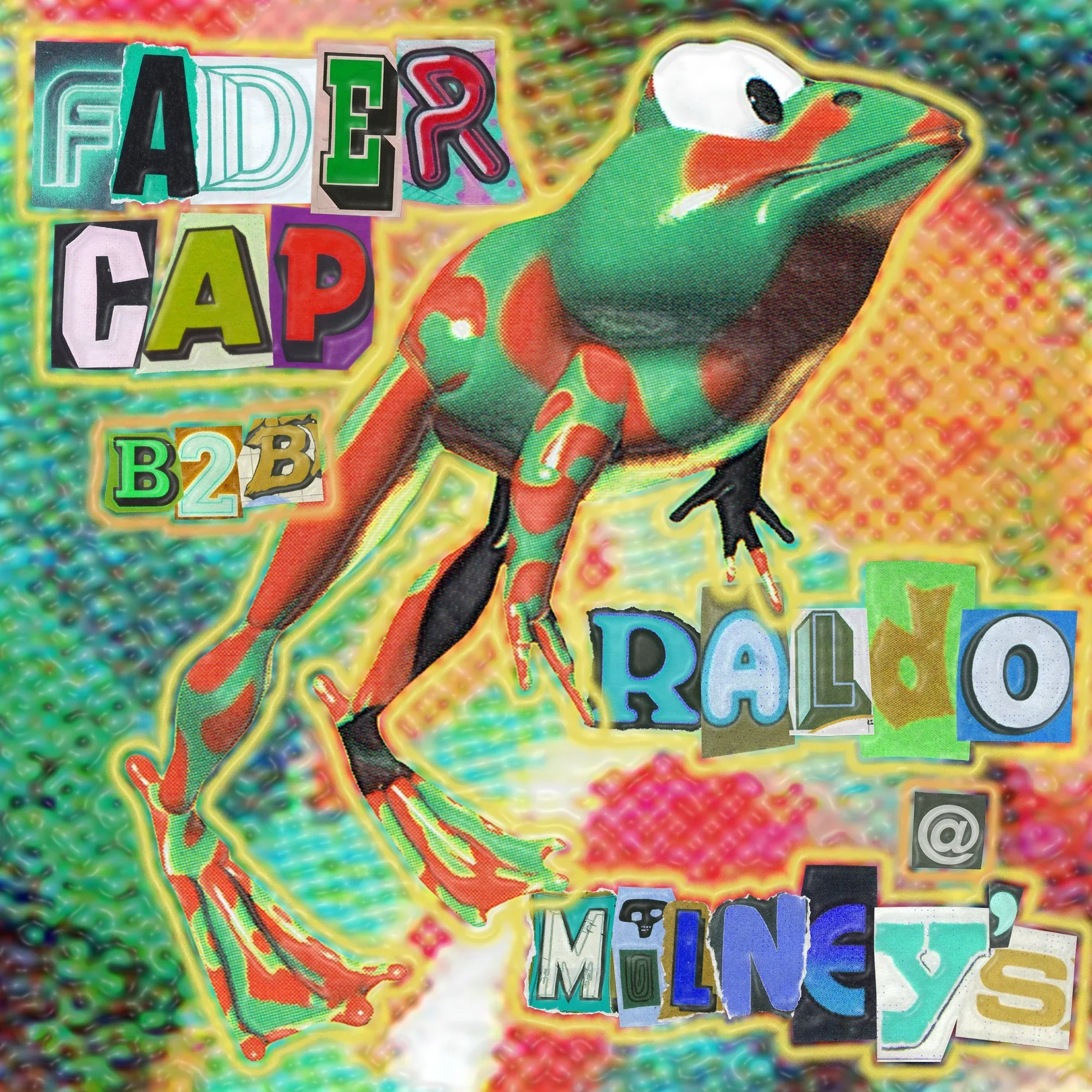 Frog-Boys.webp