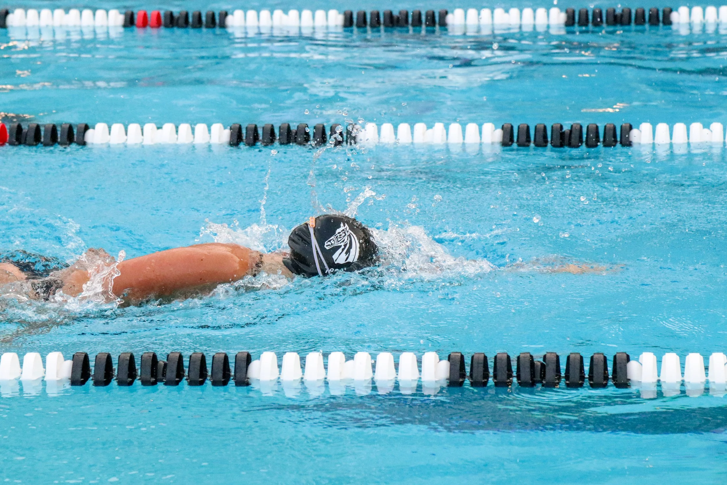 PCC Swim Championship