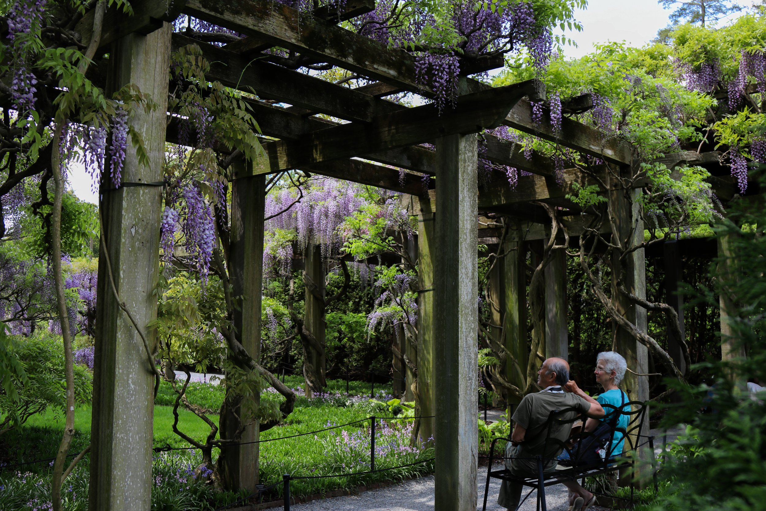Longwood Gardens -  May 2024