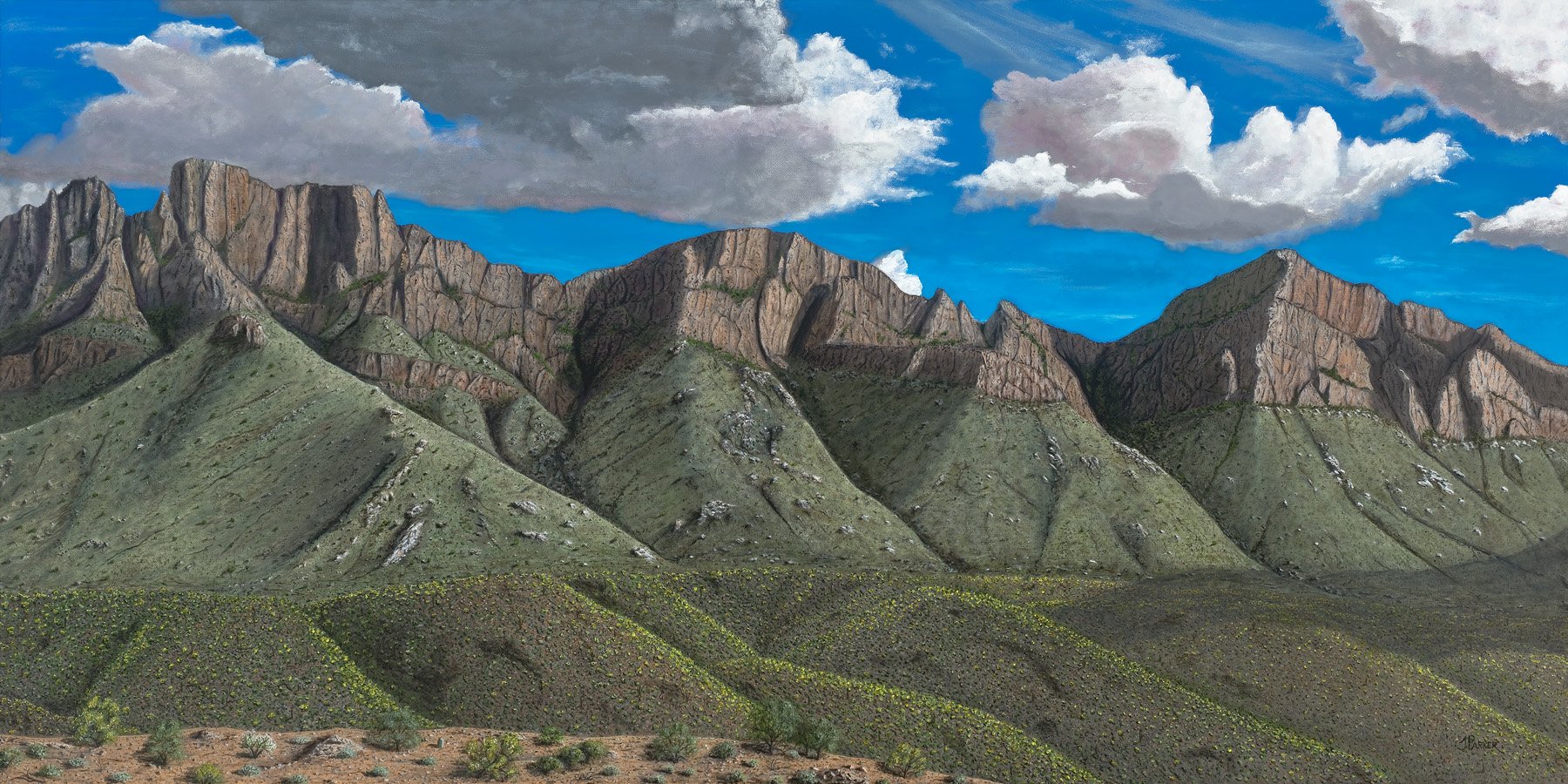 "Catalina West Side Story," Acrylic on canvas, 24x48 — This painting is of the western slopes of the beautiful Santa Catalina Mountain Range, starting in Tucson and running north to Oracle, Arizona. We are blessed to have this grand view from dawn to