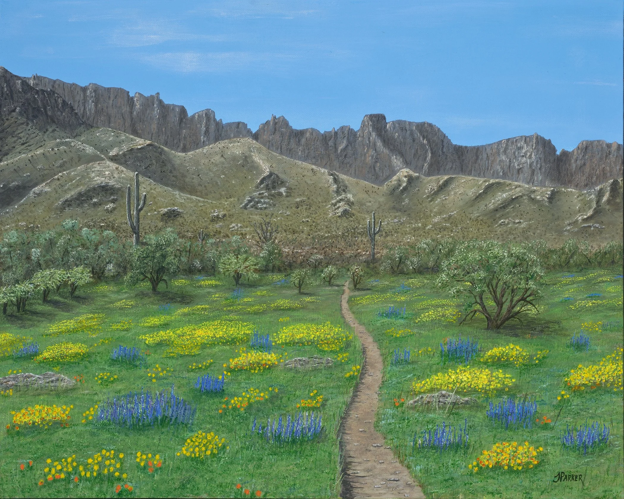 "Catalina Super Bloom," Acrylic on canvas, 16x20 — My wife, Julie, and two girlfriends had the privilege of walking through the incredible desert "Super Bloom" in the foothills of the Santa Catalina Mountains in Arizona. 