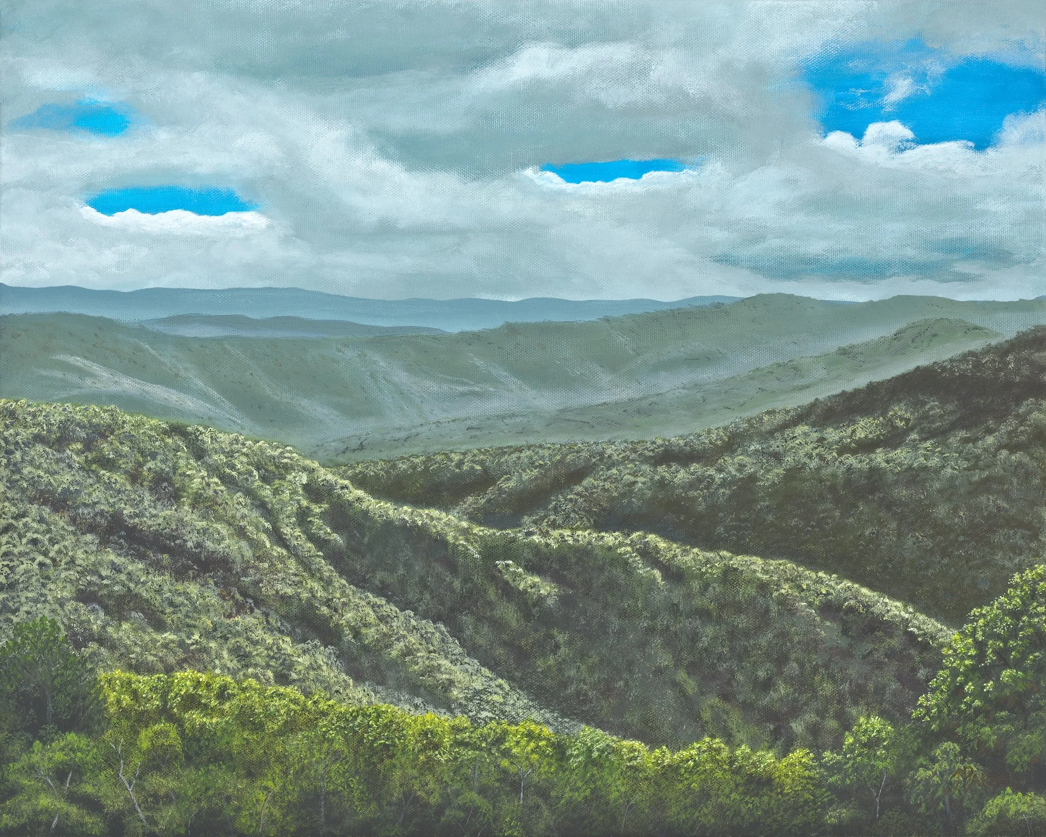 "West Virginia Mountain Waves," Acrylic on canvas, 16x20 — Waves in West Virginia? Well, that's what I saw from atop one of those waves in Pipestem State Park. You can see where that "Almost Heaven" comes from!