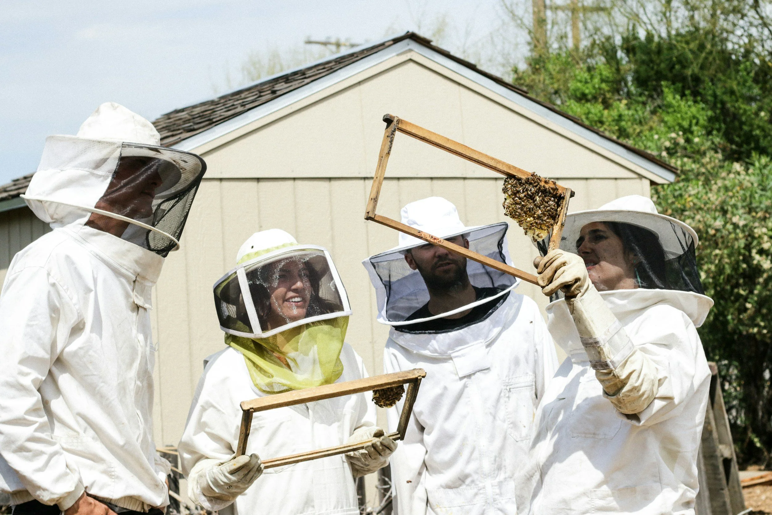 Beginning Beekeeping Class