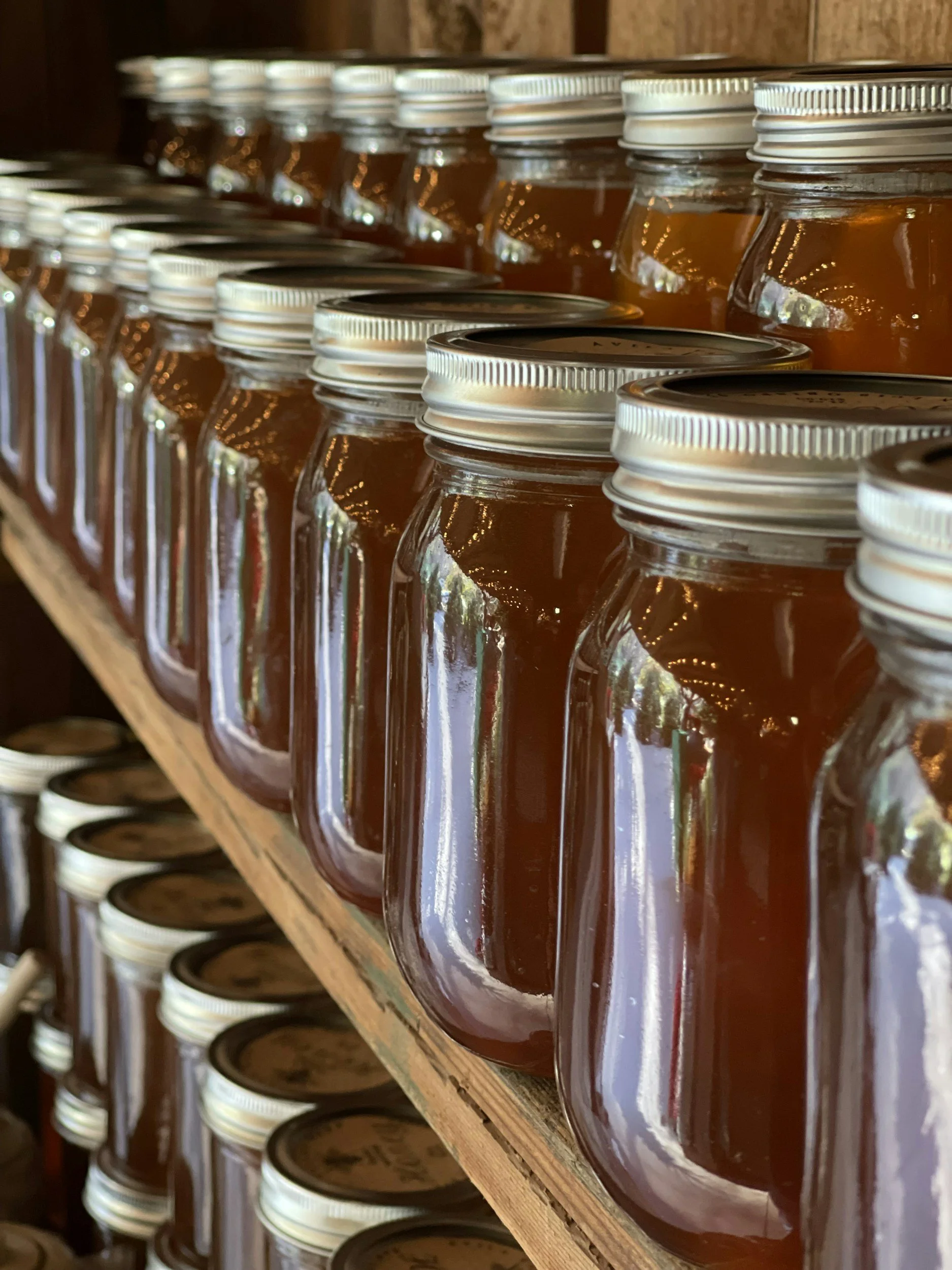 Rows of glass jars filled with amber-colored jam or honey on a wooden shelf.