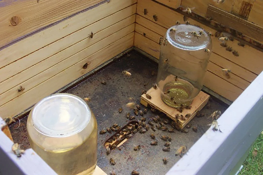 Inside a beekeeping hive with bees on glass jars containing honey or water, and wooden frames, surrounded by bees on the hive walls and floor.