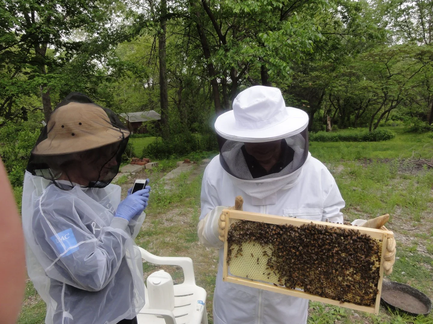 Two beekeepers in protective suits and veils examining a honeycomb frame with bees, one taking a photo with their phone outdoors in a green, wooded area.