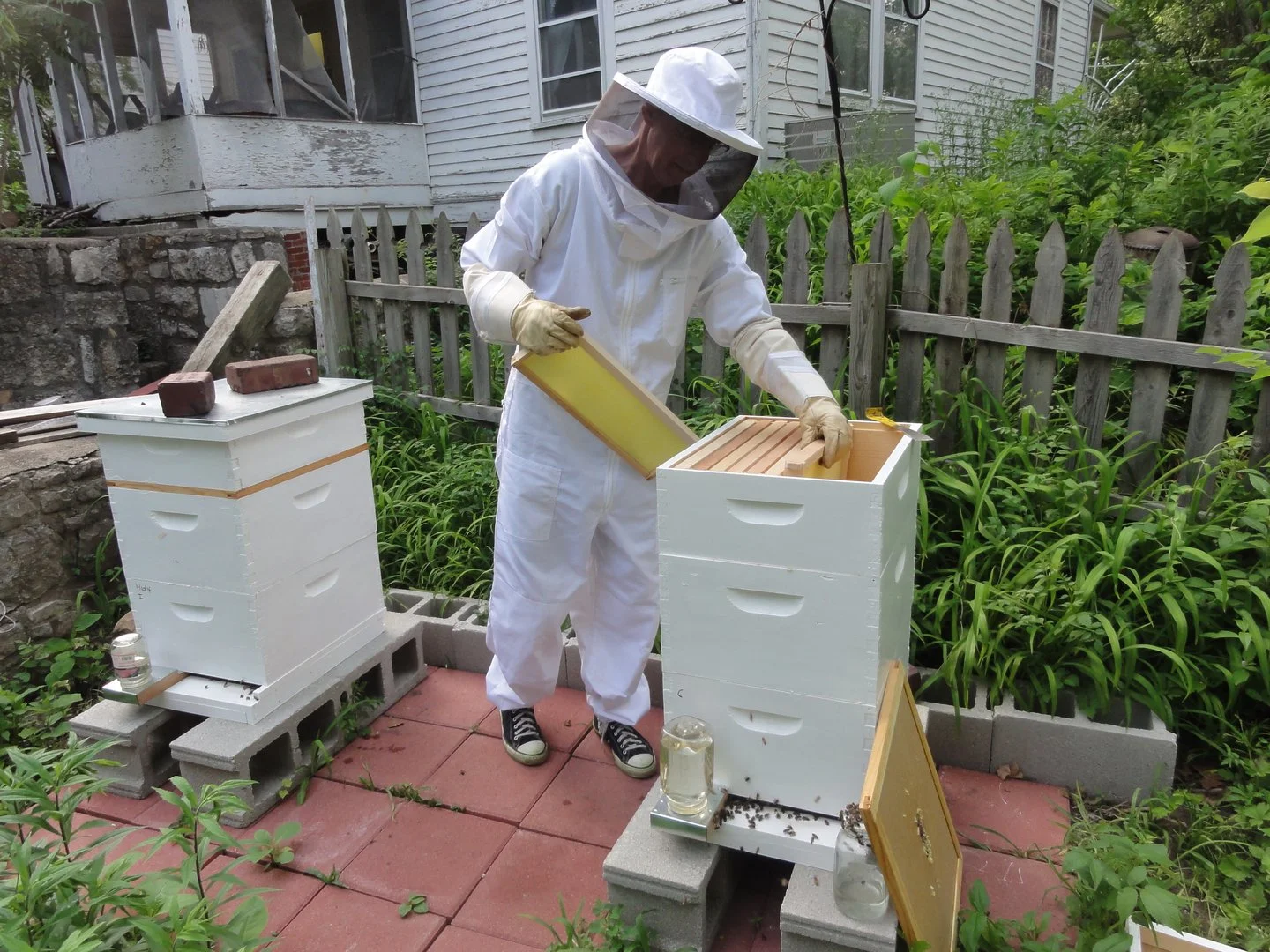 A beekeeper wearing a white suit, gloves, and a protective veil is inspecting a beehive in a backyard garden.
