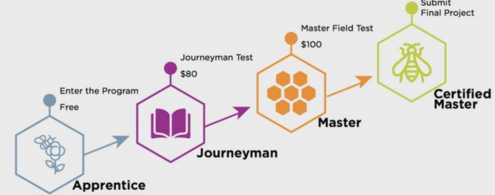 Flowchart illustrating a training or certification program with four stages: Apprentice, Journeyman, Master, and Certified Master. Each stage has icons and associated costs, with arrows indicating progress through the levels.
