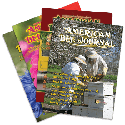 American Bee Journal