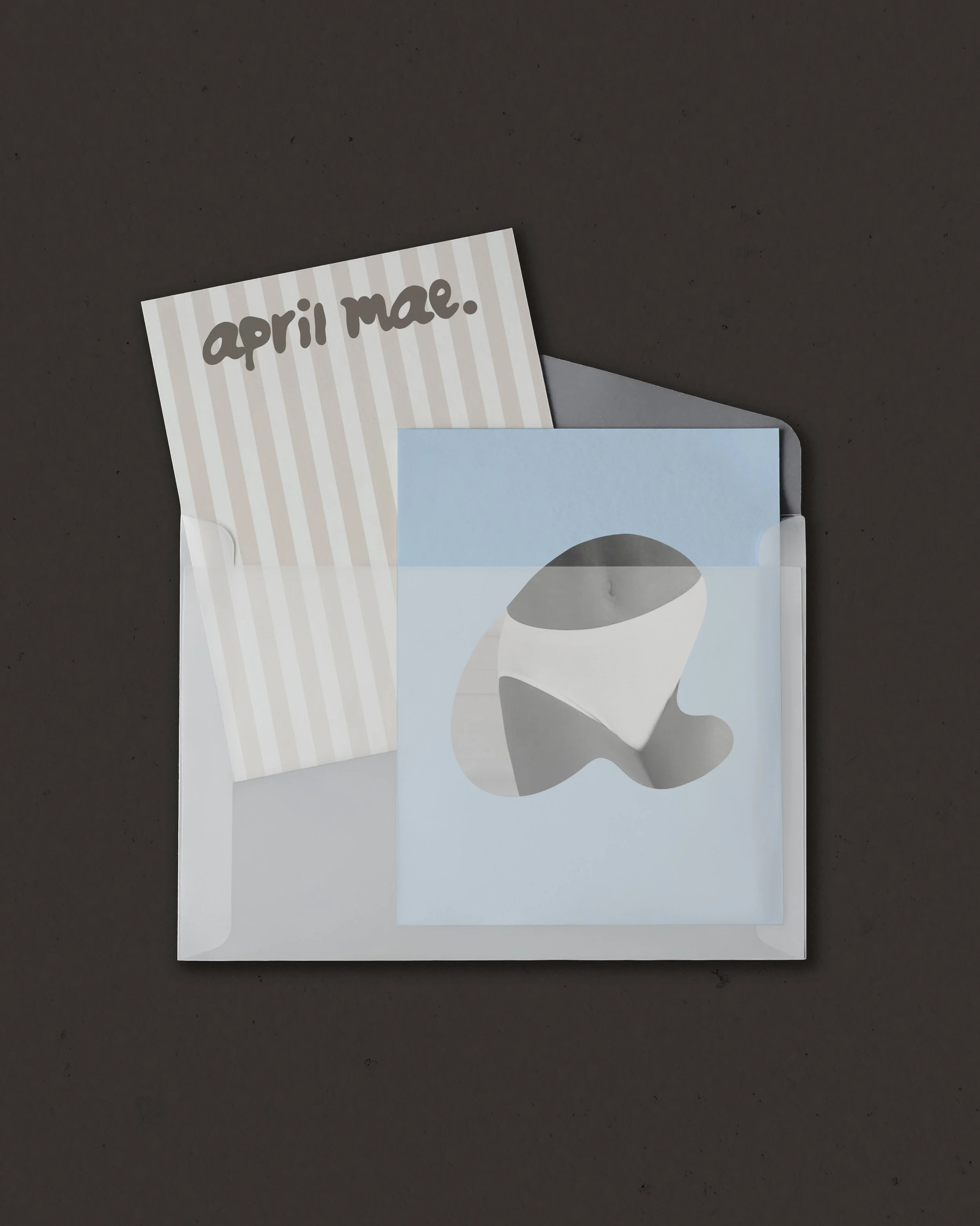 Vellum-Envelope-Stationery-Mockup-01.jpg