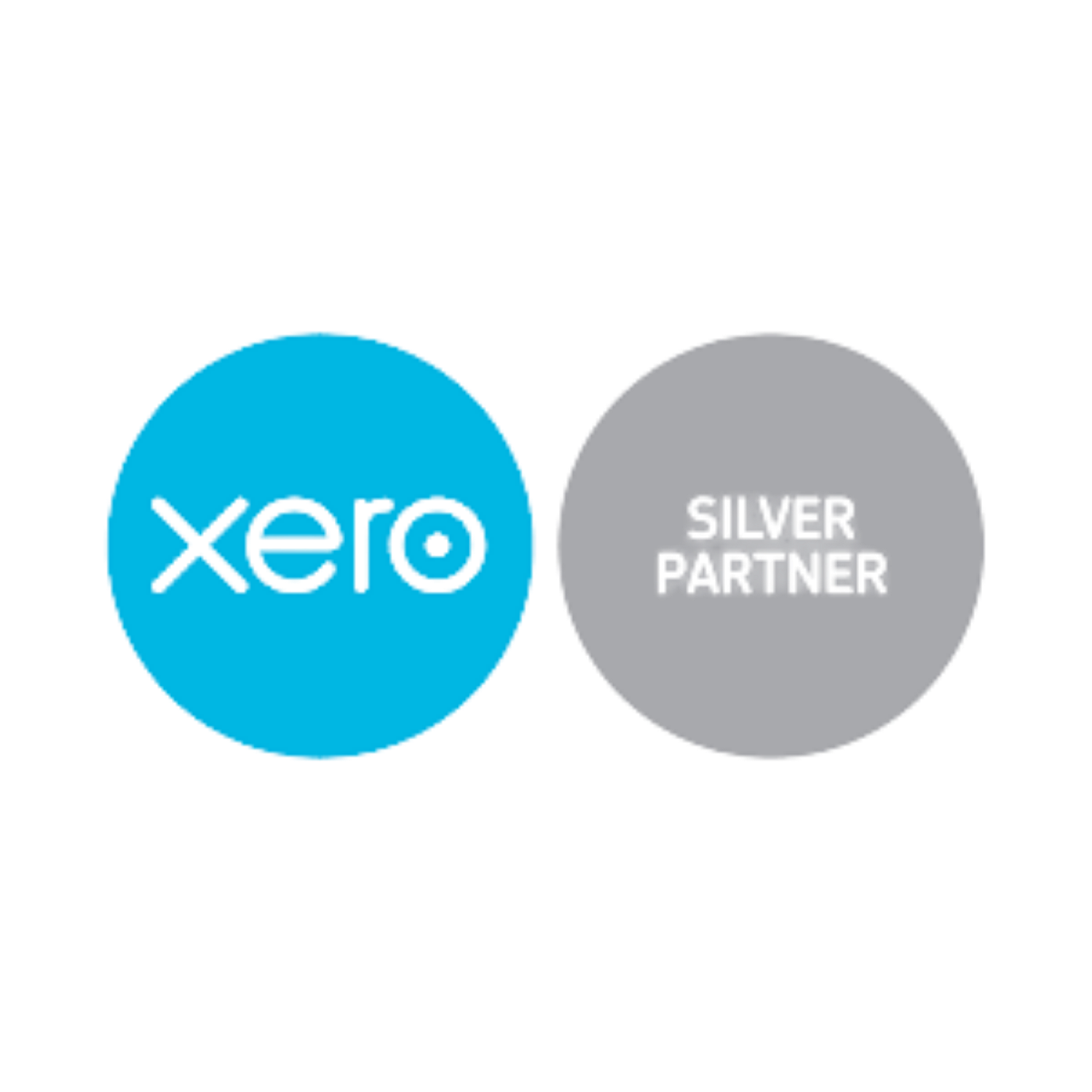 Xero 'Silver Partner'