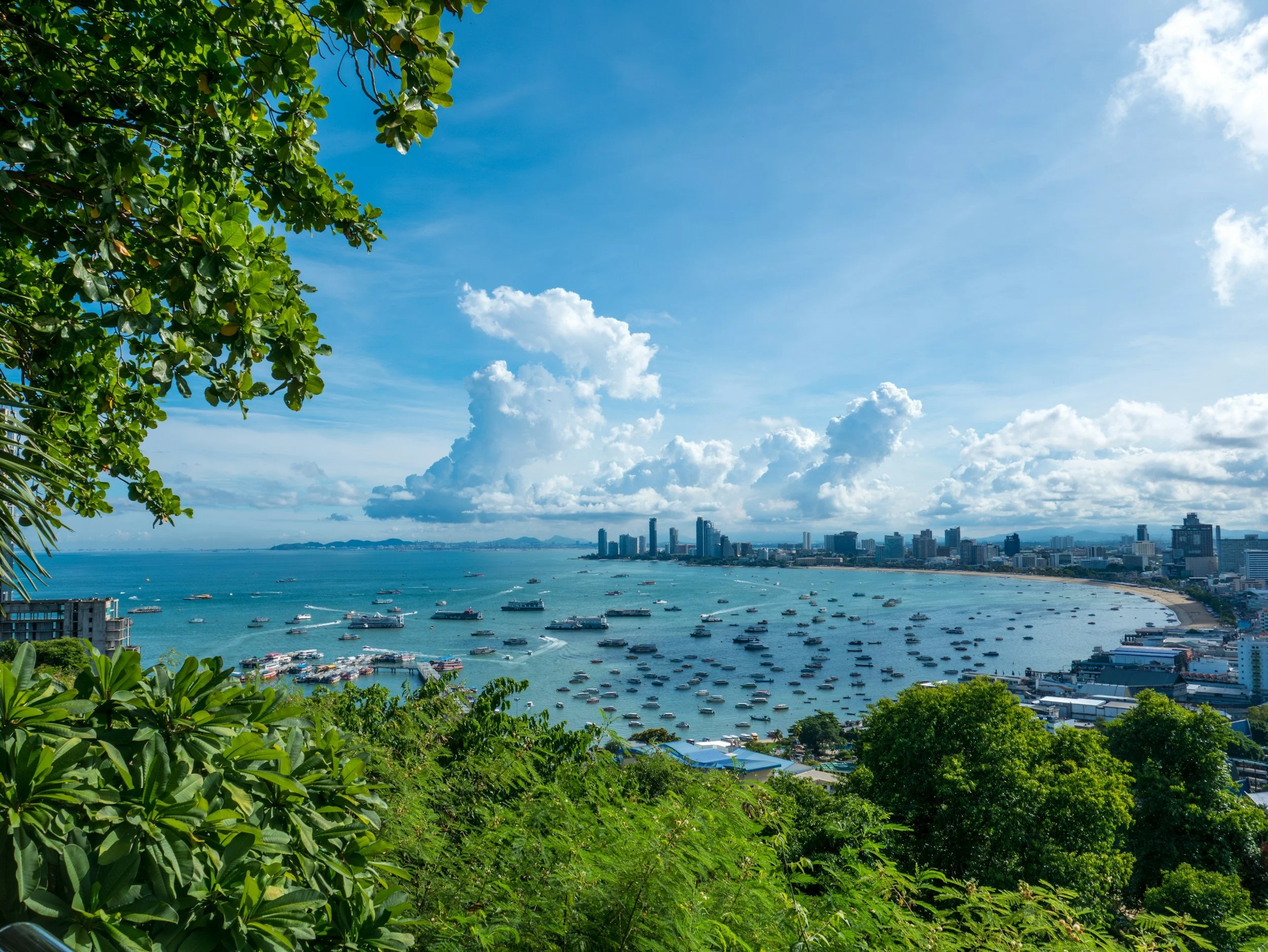 A panoramic view of a coastal city with a bay filled with numerous boats, lush green trees in the foreground, and a skyline of high-rise buildings in the distance, under a partly cloudy sky.