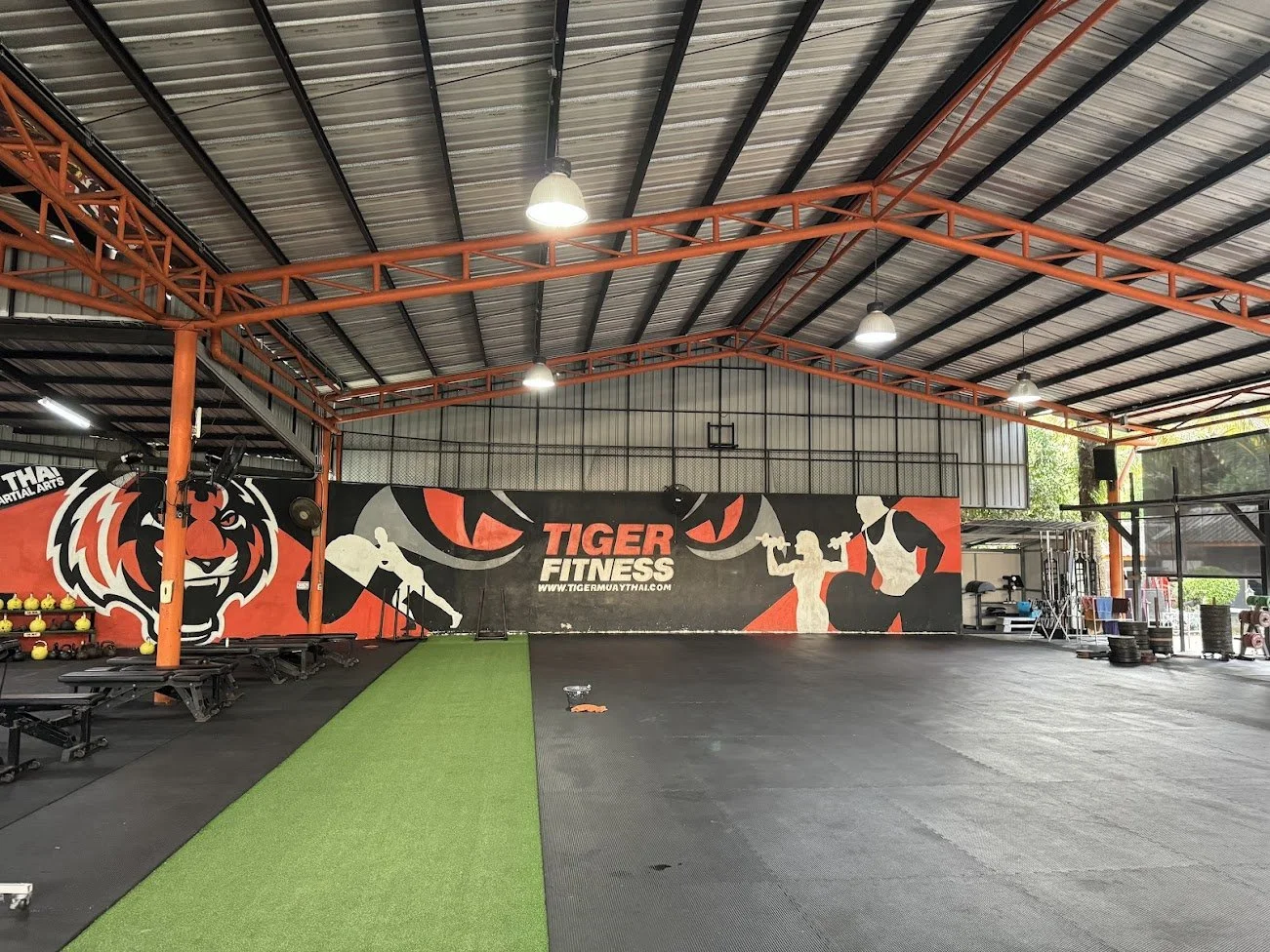 Tiger Muay Thai Review (2026 Guide) — Is It Worth It?