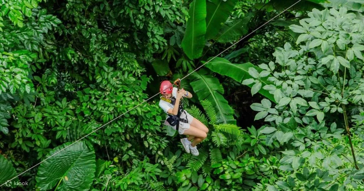 A girl wearing a red helmet and harness is zip-lining through a lush, green jungle.