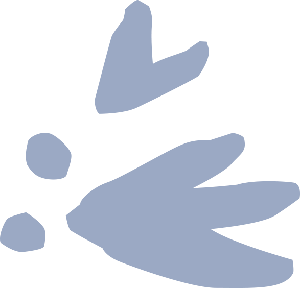 Abstract shapes in light blue on a black background.