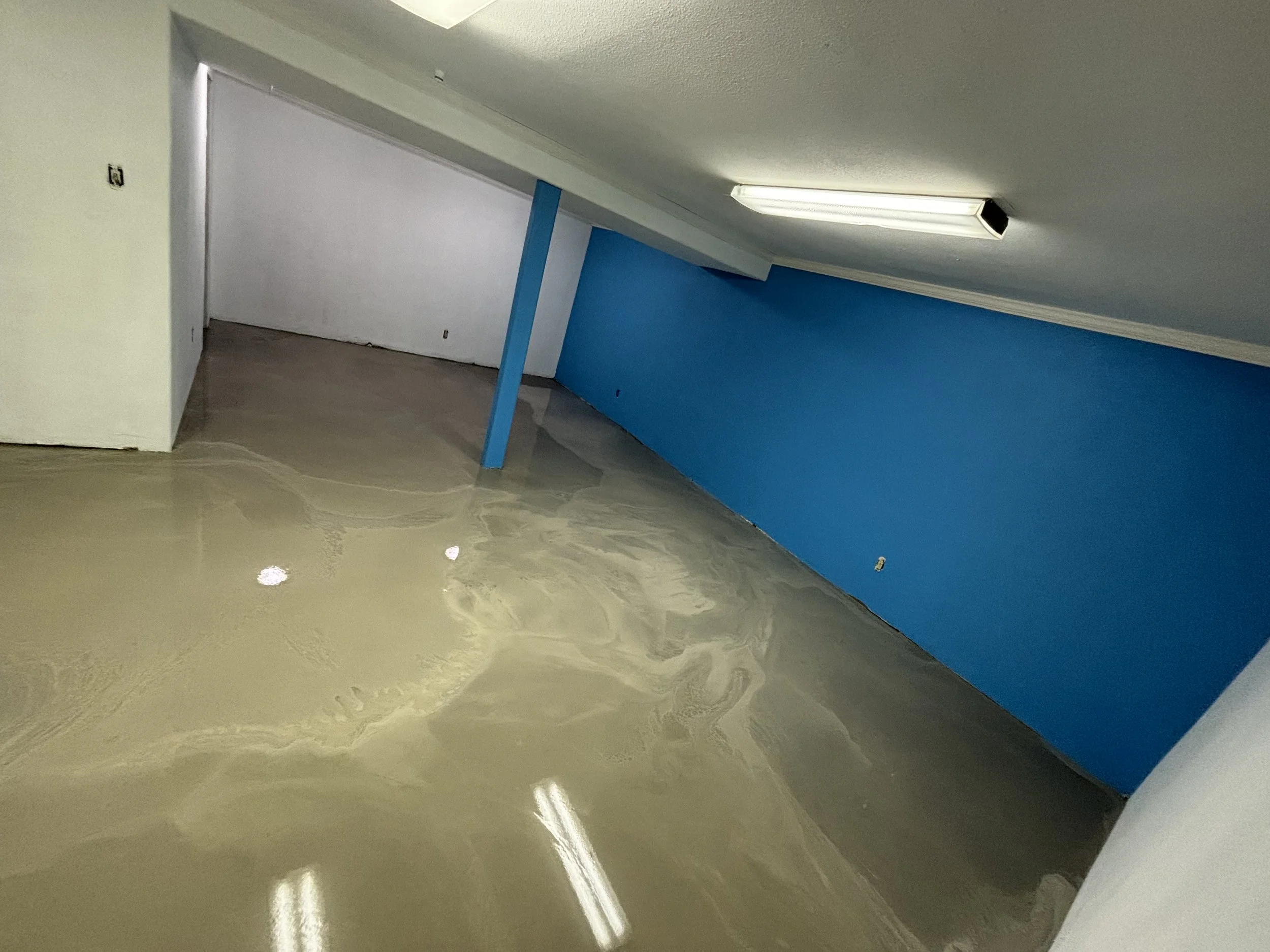 basmnt before after (3).jpeg