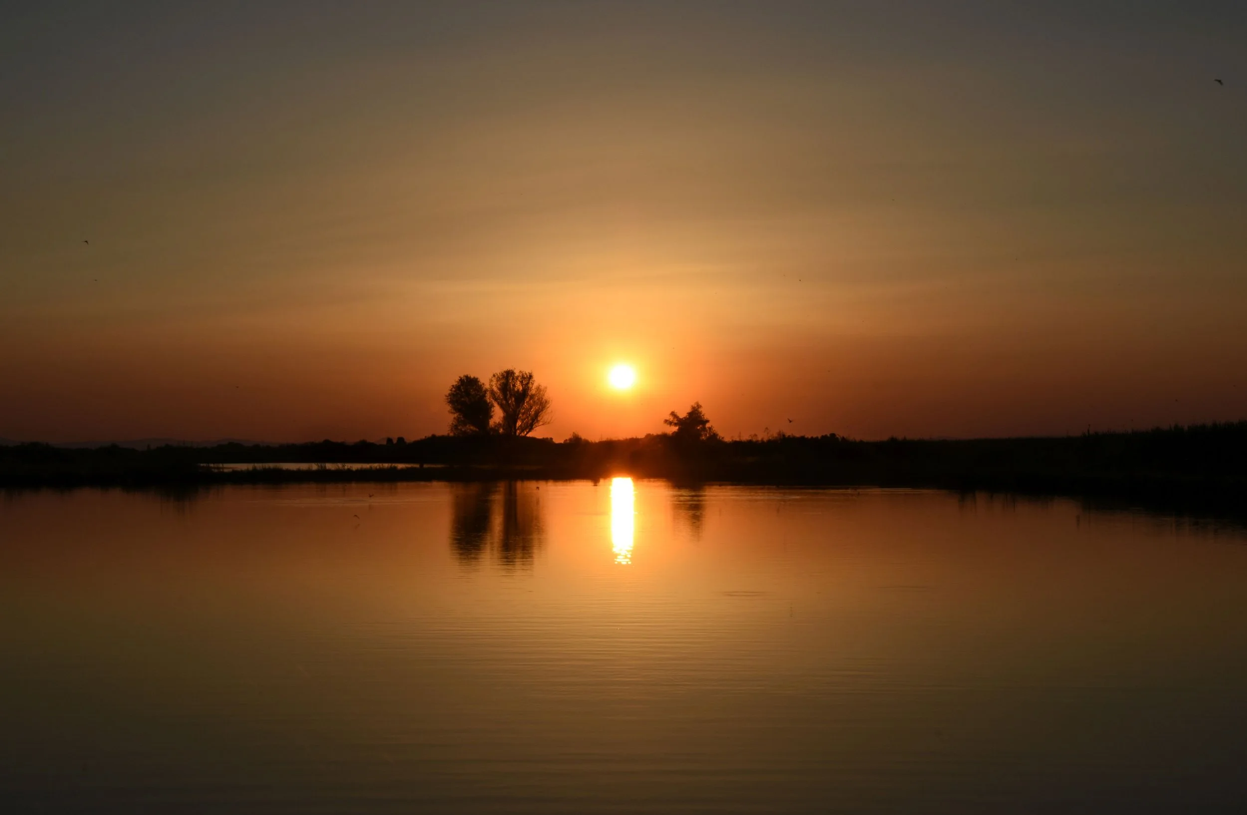 Lake Ognyanovo