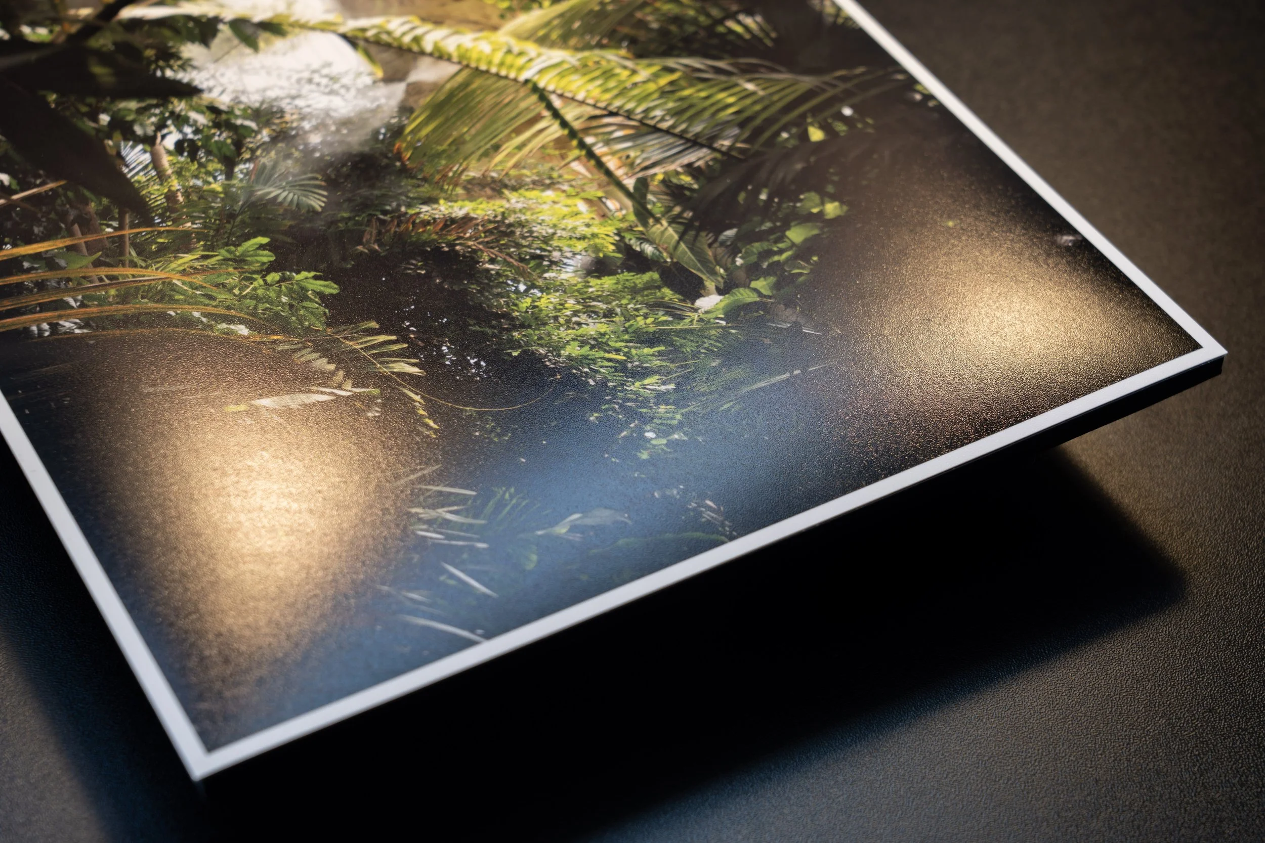 RoyalBotanicGardens_print.jpg