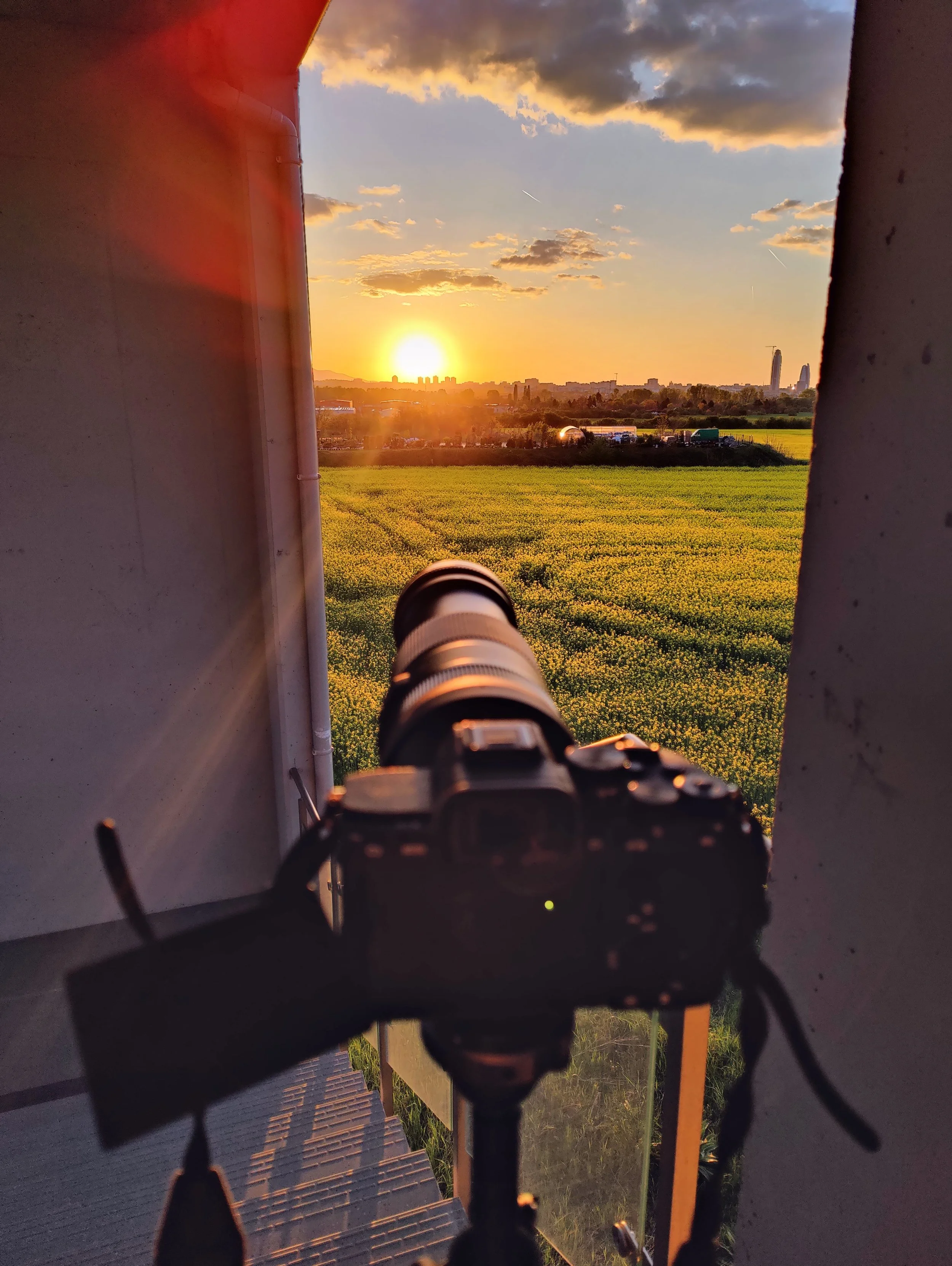 A camera is set up on a tripod during sunset, capturing a view of a field with a city skyline in the distance and a partly cloudy sky.