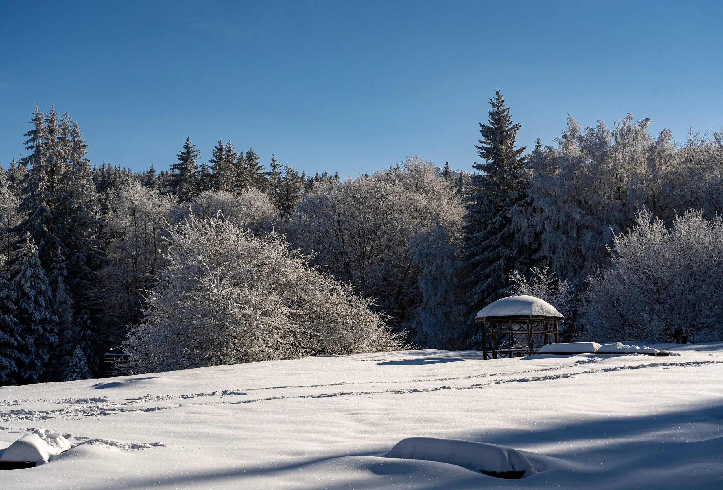 Winter Vitosha