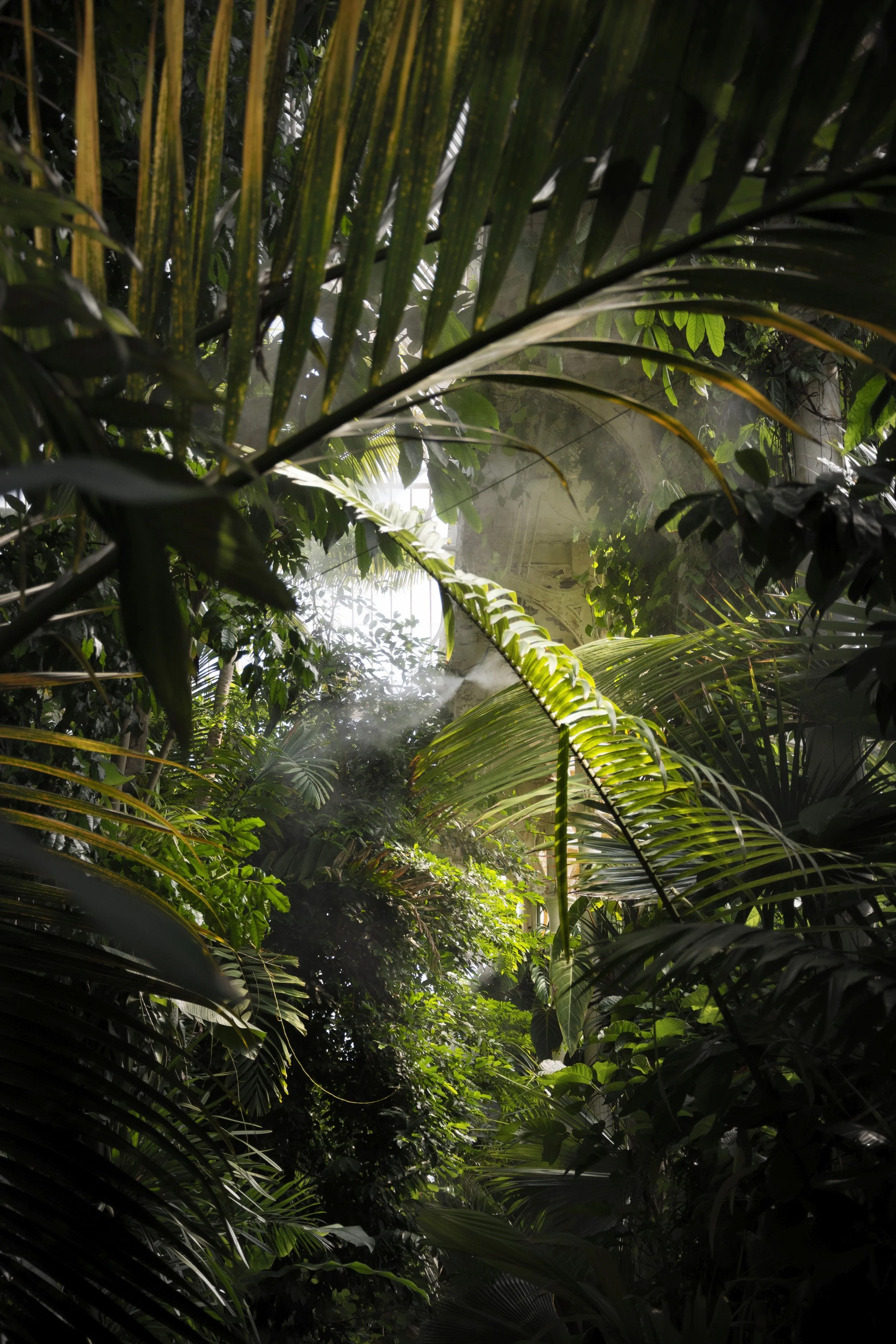 Royal Botanic Gardens, Kew