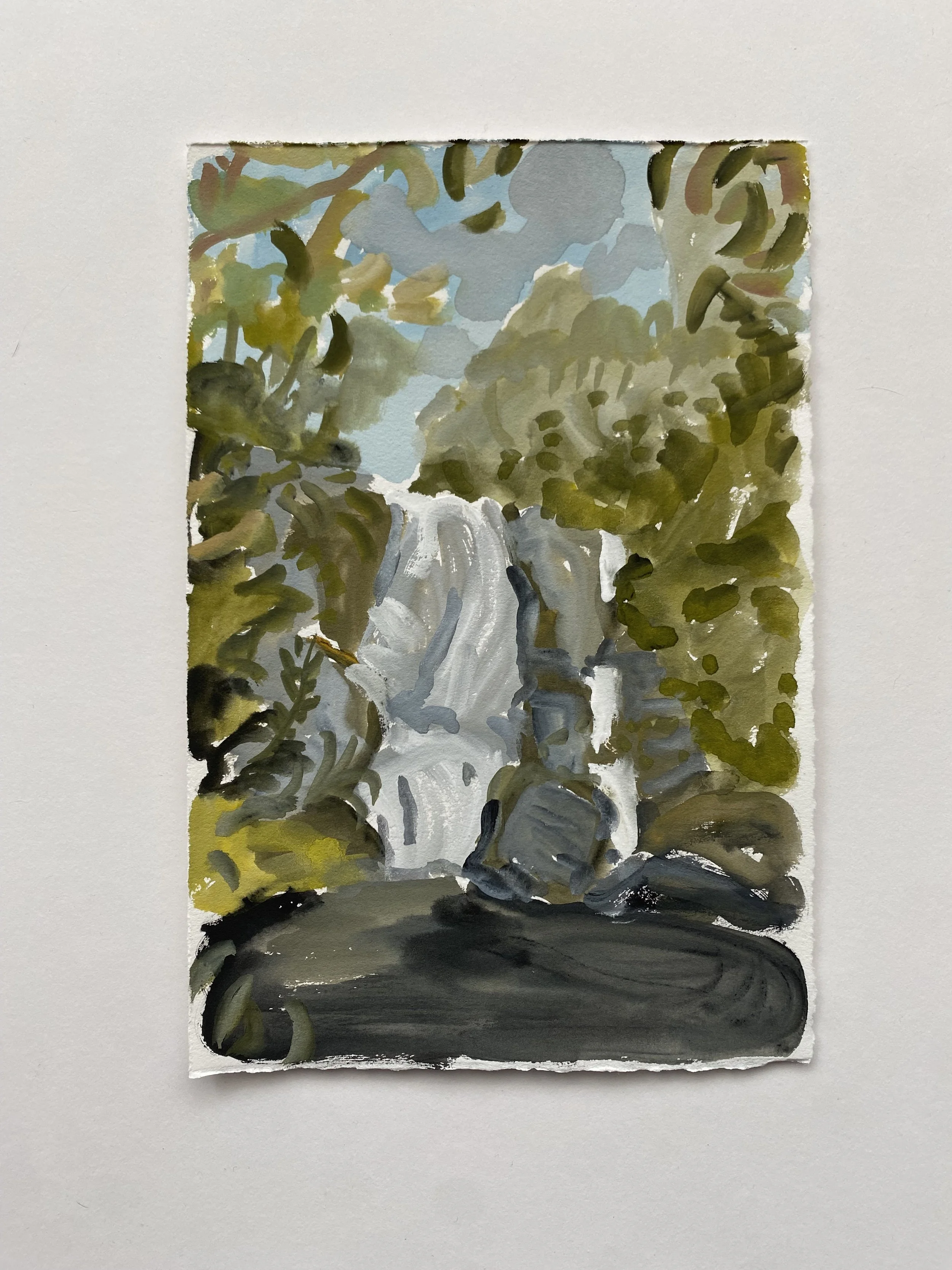 Falls with Ferns