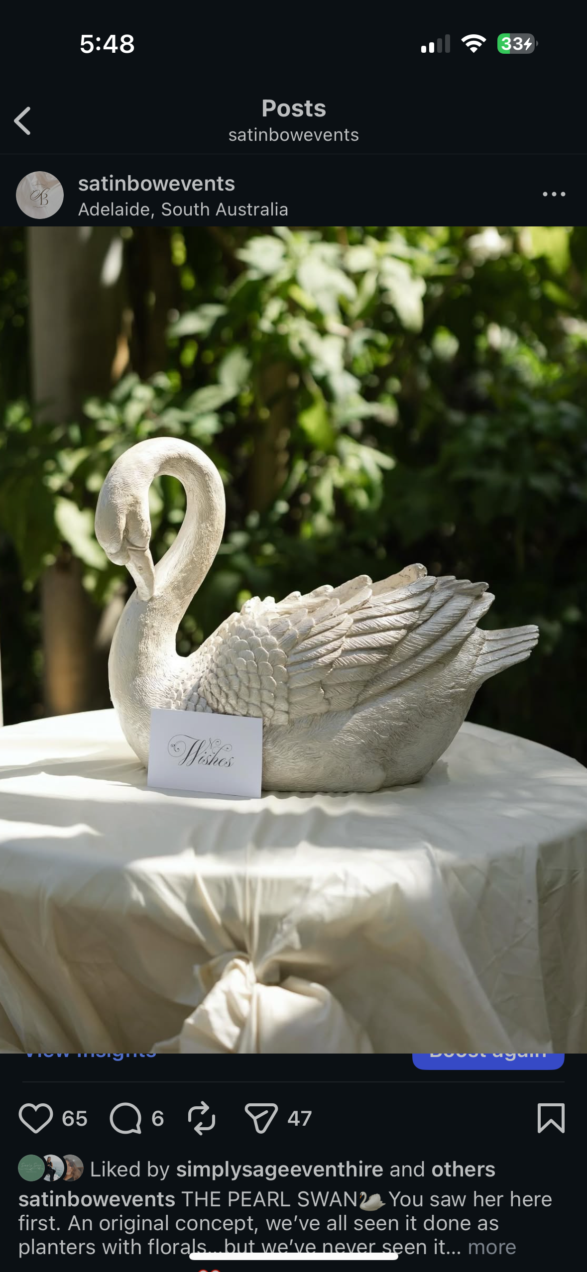 Pearl Swan Wishing Well