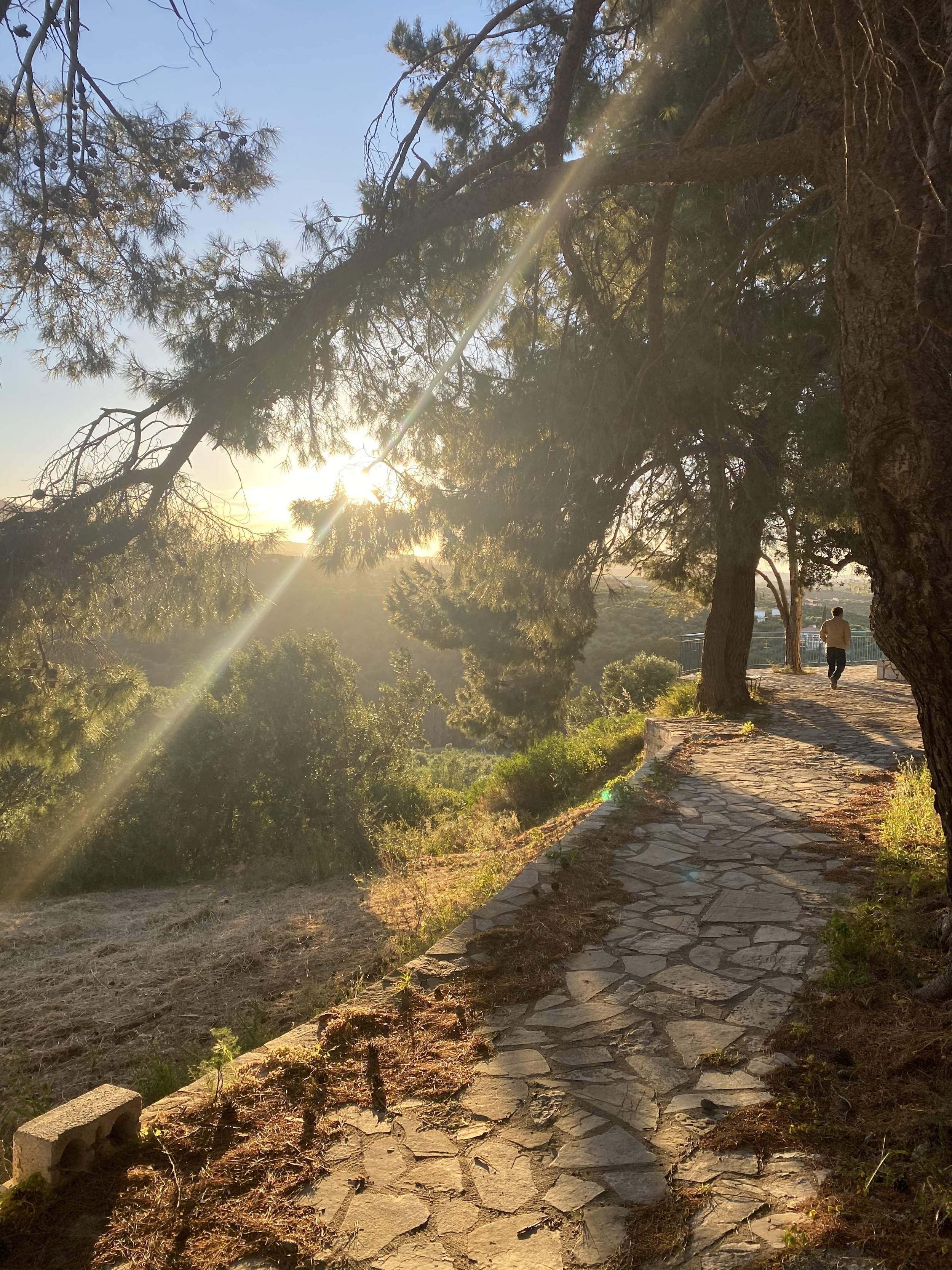 Golden hour through pine trees at Saint Friday Villas – peaceful rural Peloponnese Greece holiday setting