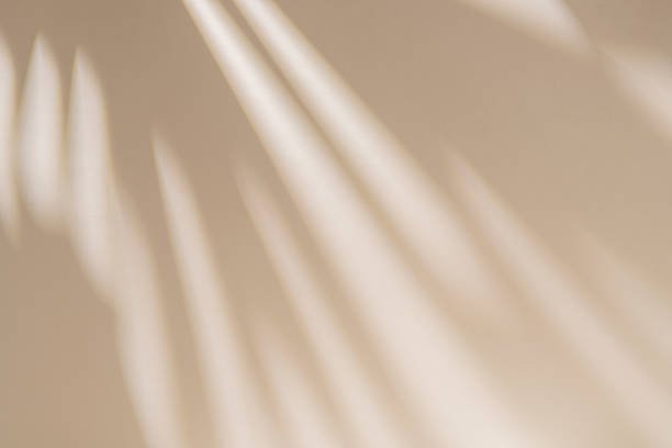 6 Week Empowerment Path