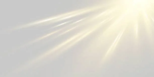 12 Week Transformation Program