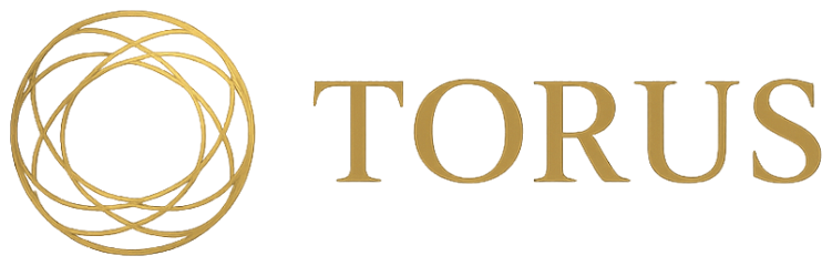 Torus Management Consultancy
