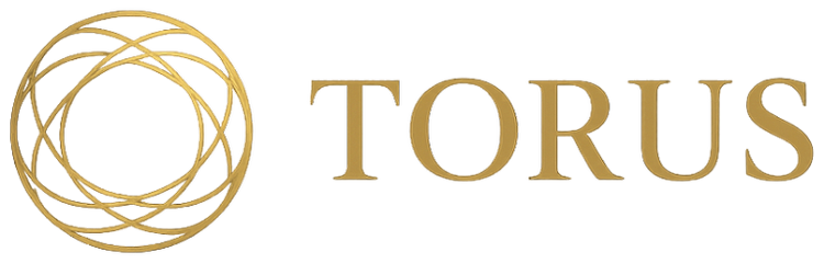 Torus Management Consultancy