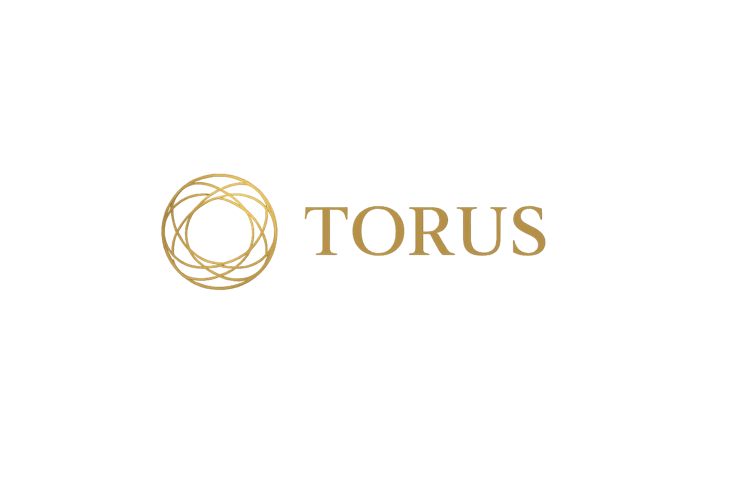 Torus