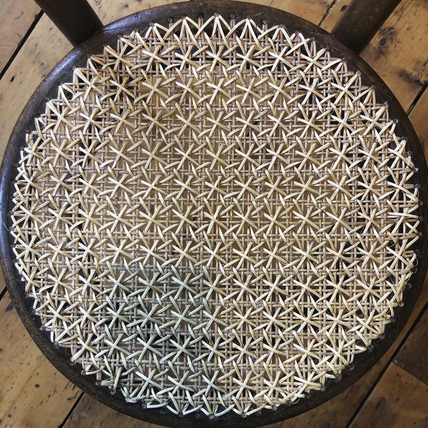 Double Daisy Weave Thonet Cane Chair