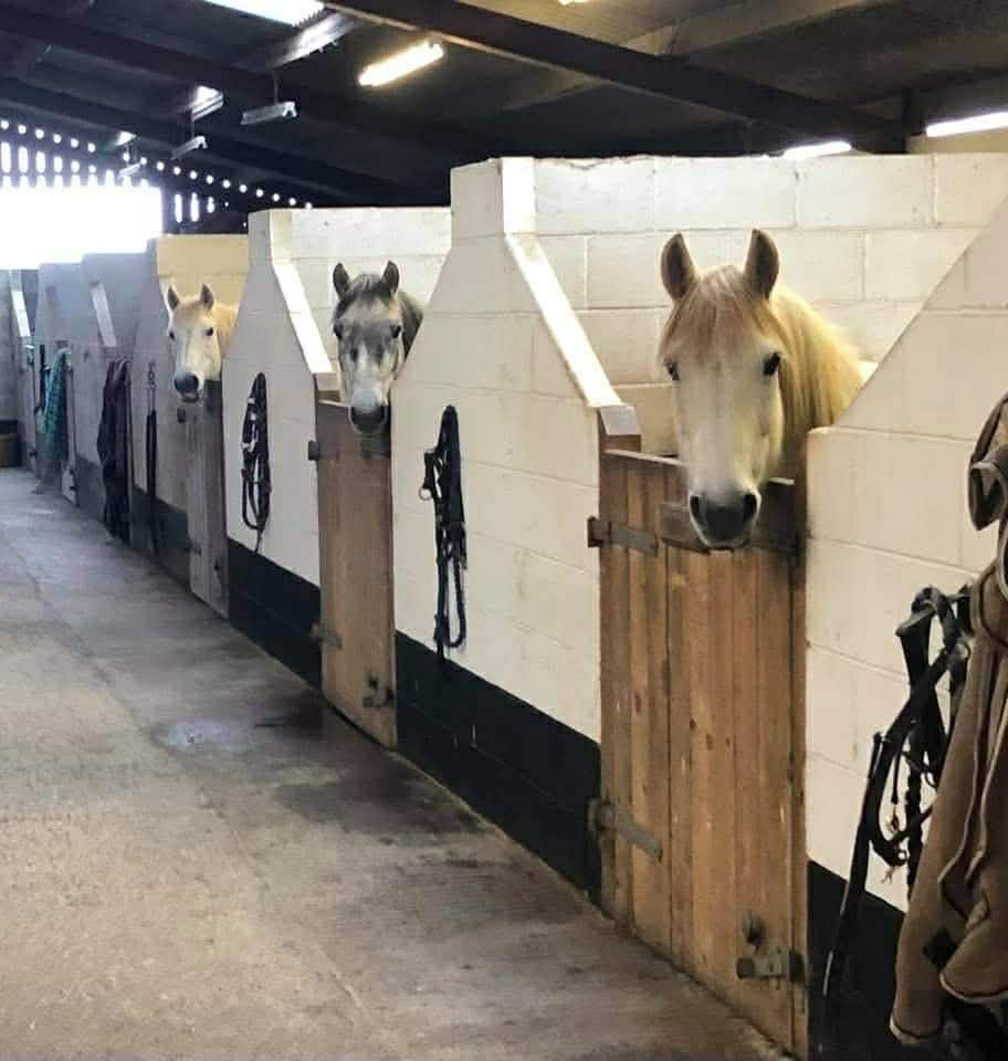 Specialist Convalescence Livery