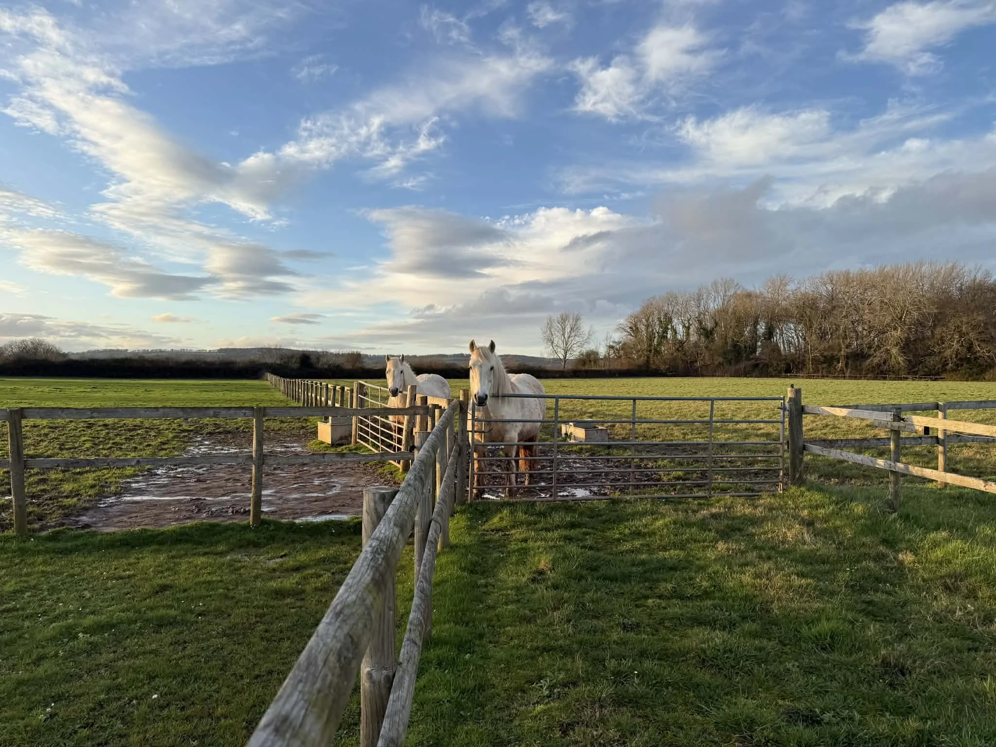 Assisted Retirement Livery