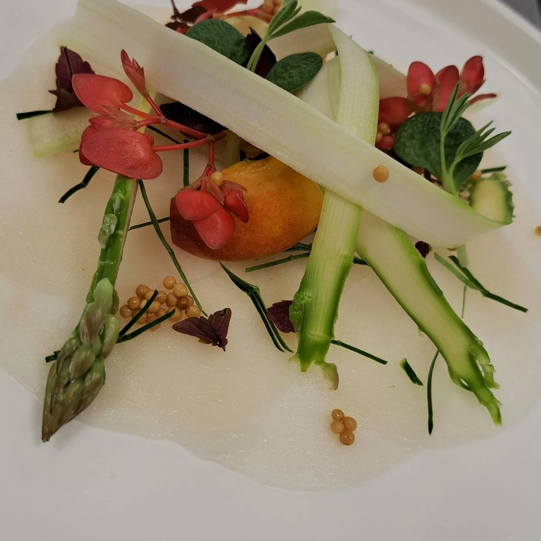 Close-up van een modern gerecht met dunne groenten- en fruitplakjes, rode en groene bladgroenten en eetbare bloemen op een wit bord.