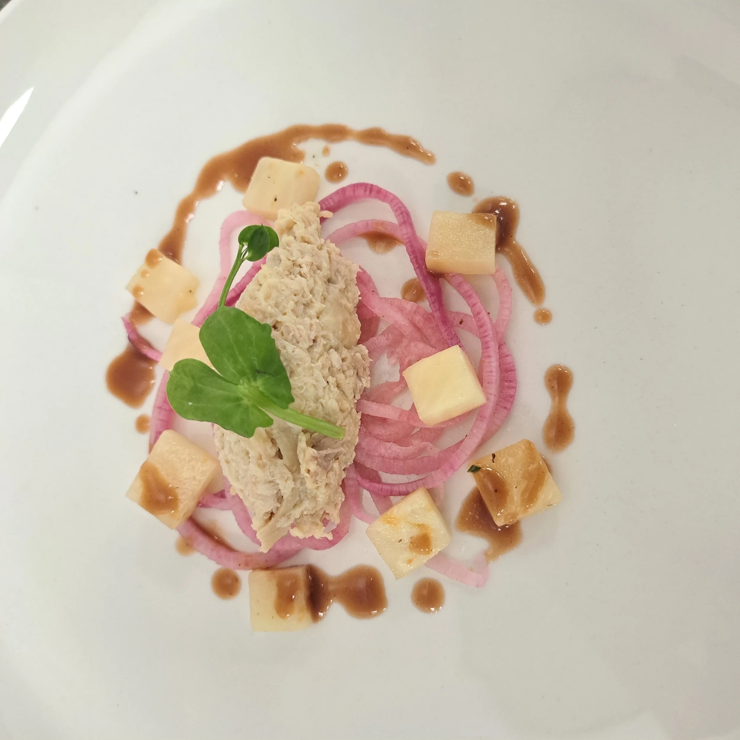 Een bord met gerechten, inclusief plakjes rode ui, kaasblokjes, saladeblad, stukjes vlees en een saus, op een witte ondergrond.